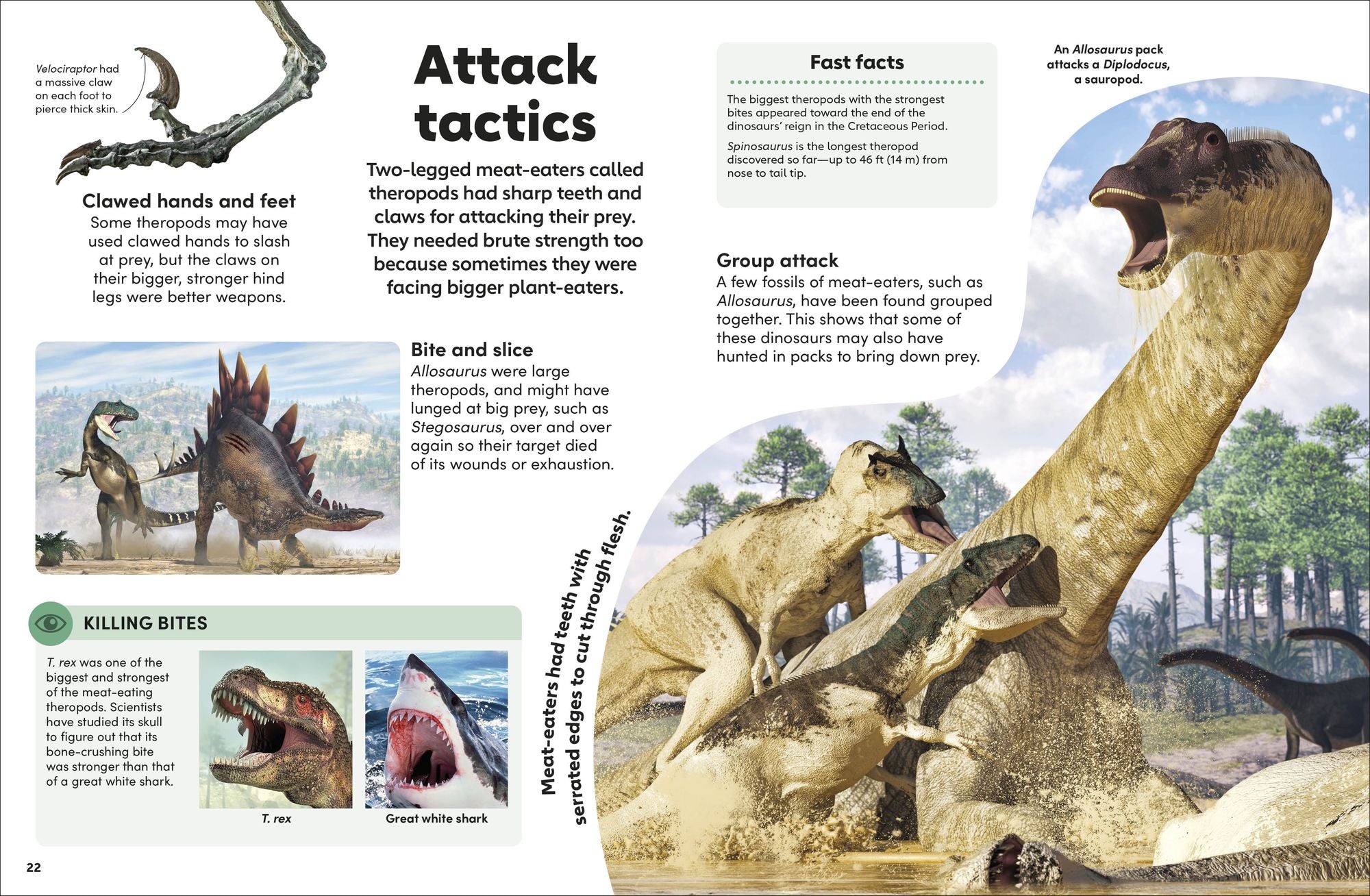 Eyewonder Dinosaurs: Open Your Eyes to a World of Discovery