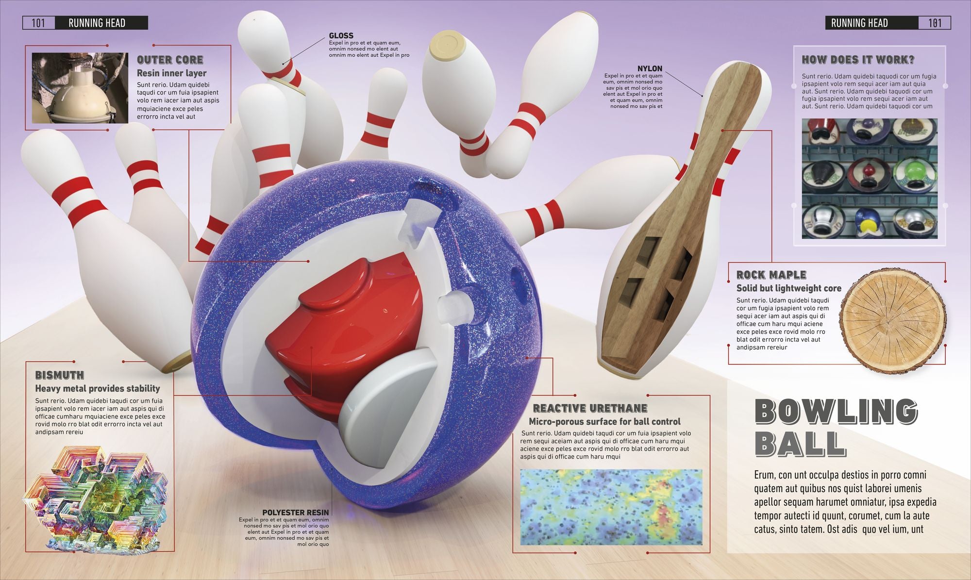 What's It Made Of?: The Materials That Shape Our World