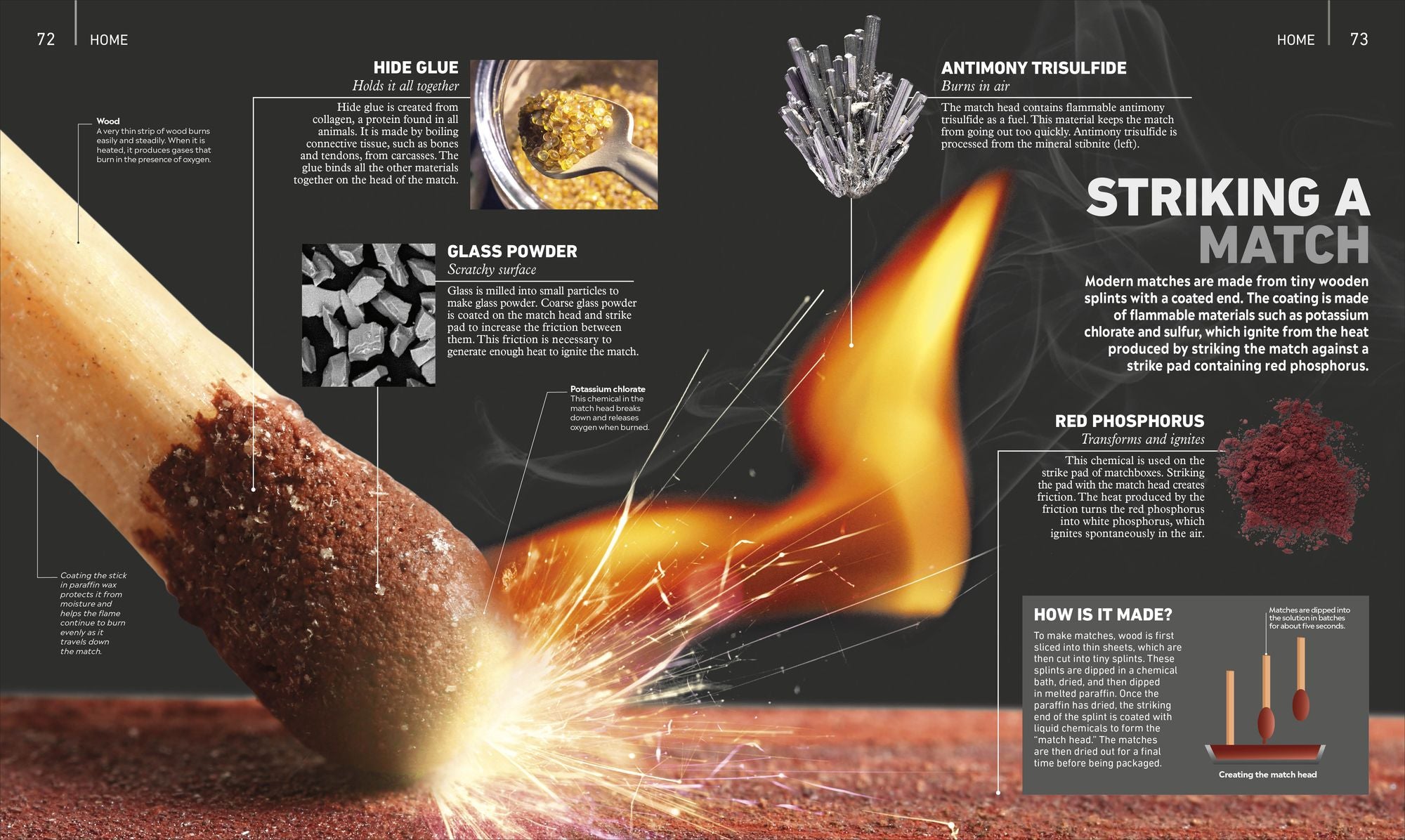 What's It Made Of?: The Materials That Shape Our World