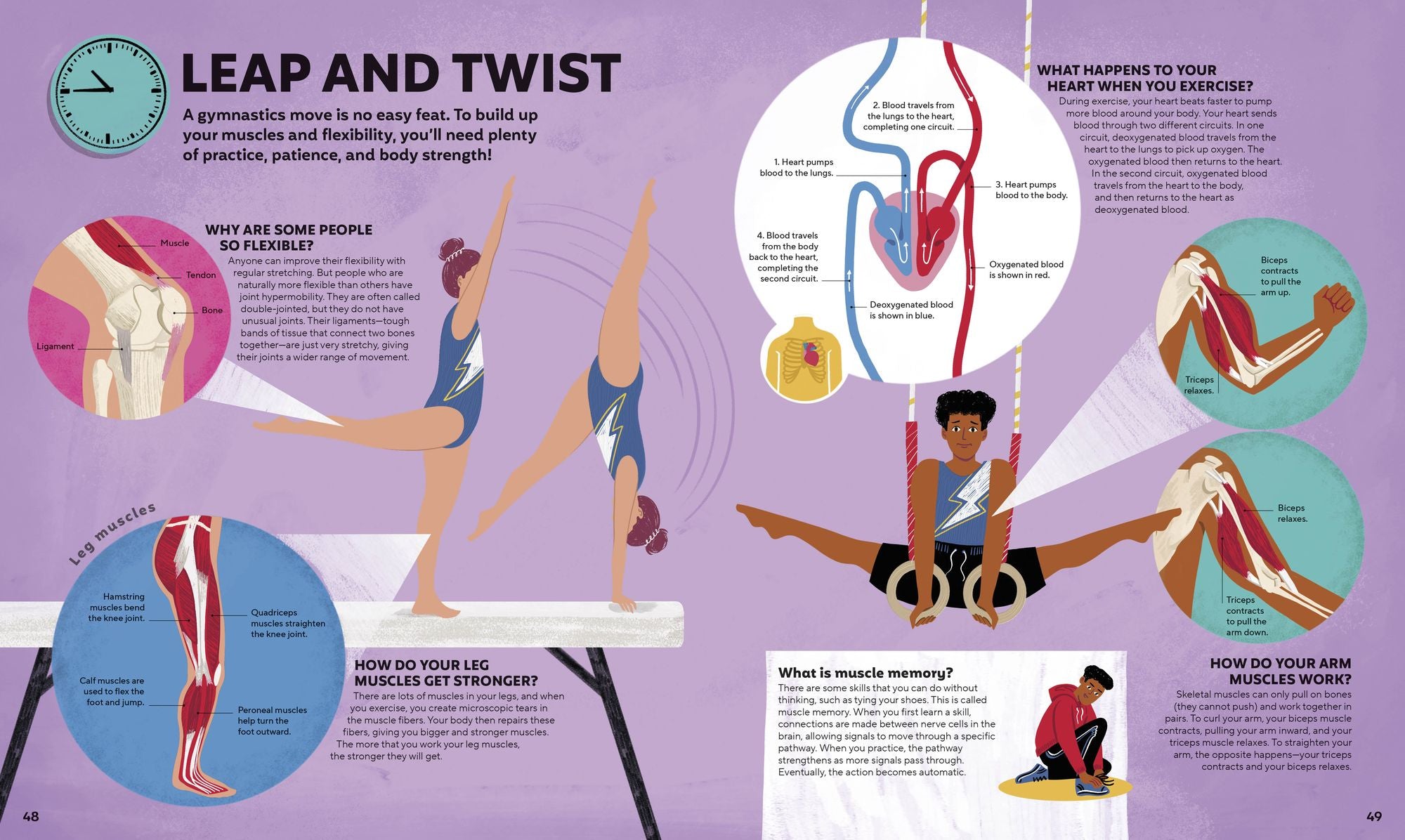 A Day in the Life of Your Body: Find Out What's Going on Under Your Skin