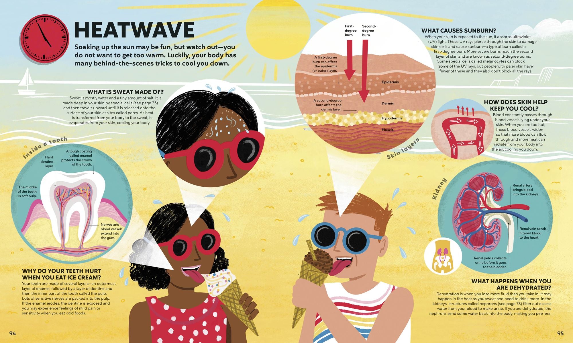 A Day in the Life of Your Body: Find Out What's Going on Under Your Skin