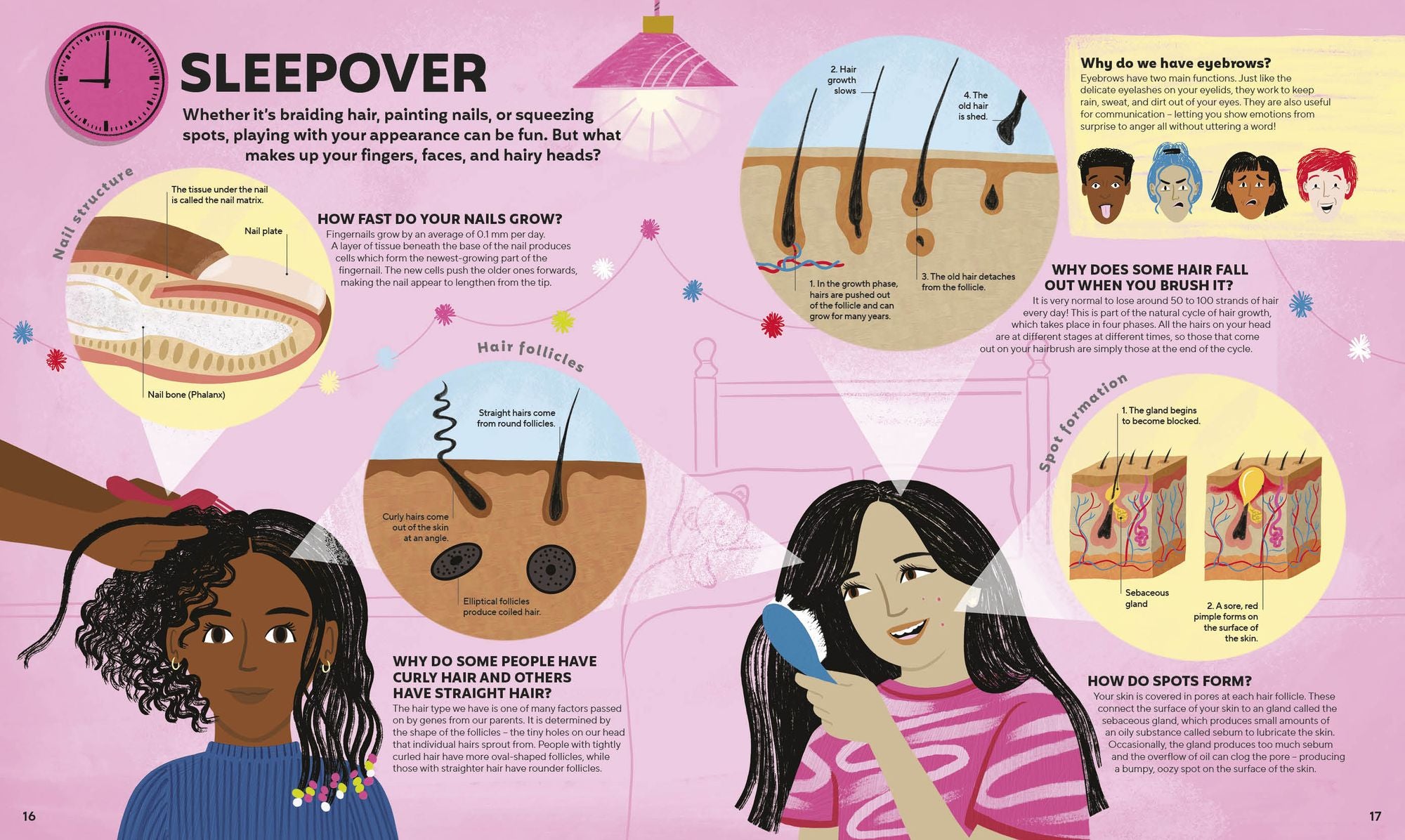 A Day in the Life of Your Body: Find Out What's Going on Under Your Skin