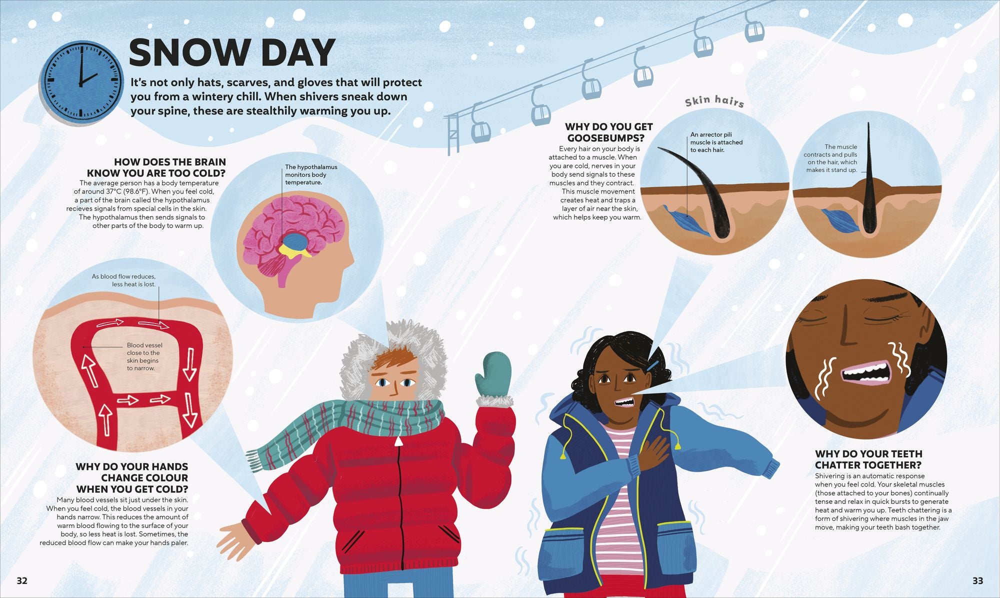 A Day in the Life of Your Body: Find Out What's Going on Under Your Skin