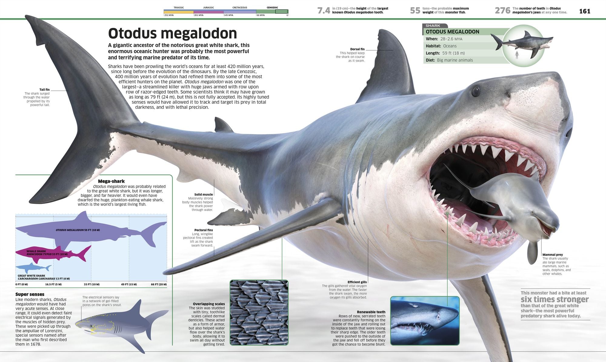 Knowledge Encyclopedia Dinosaur!