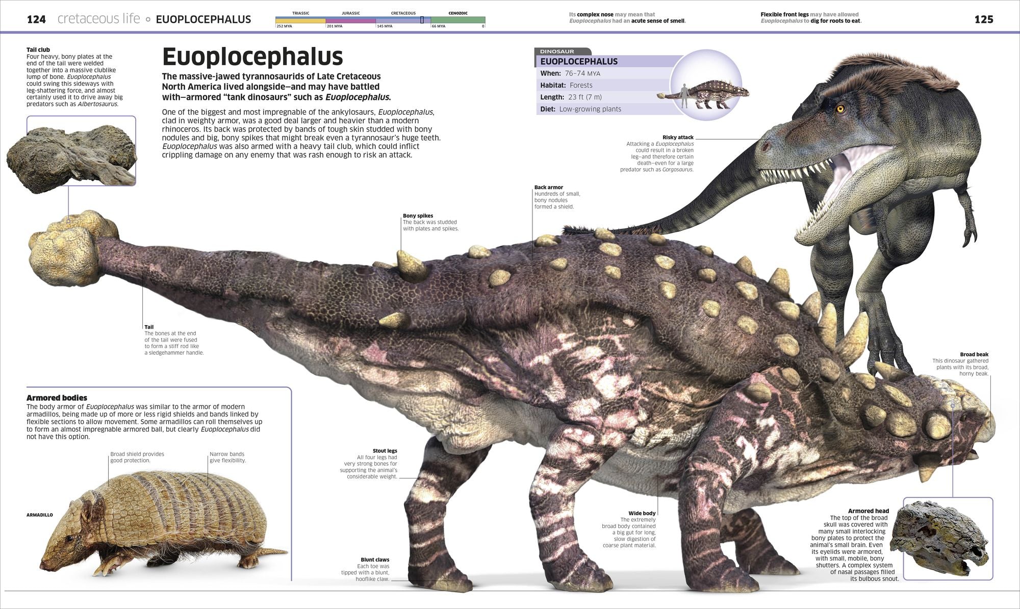 Knowledge Encyclopedia Dinosaur!