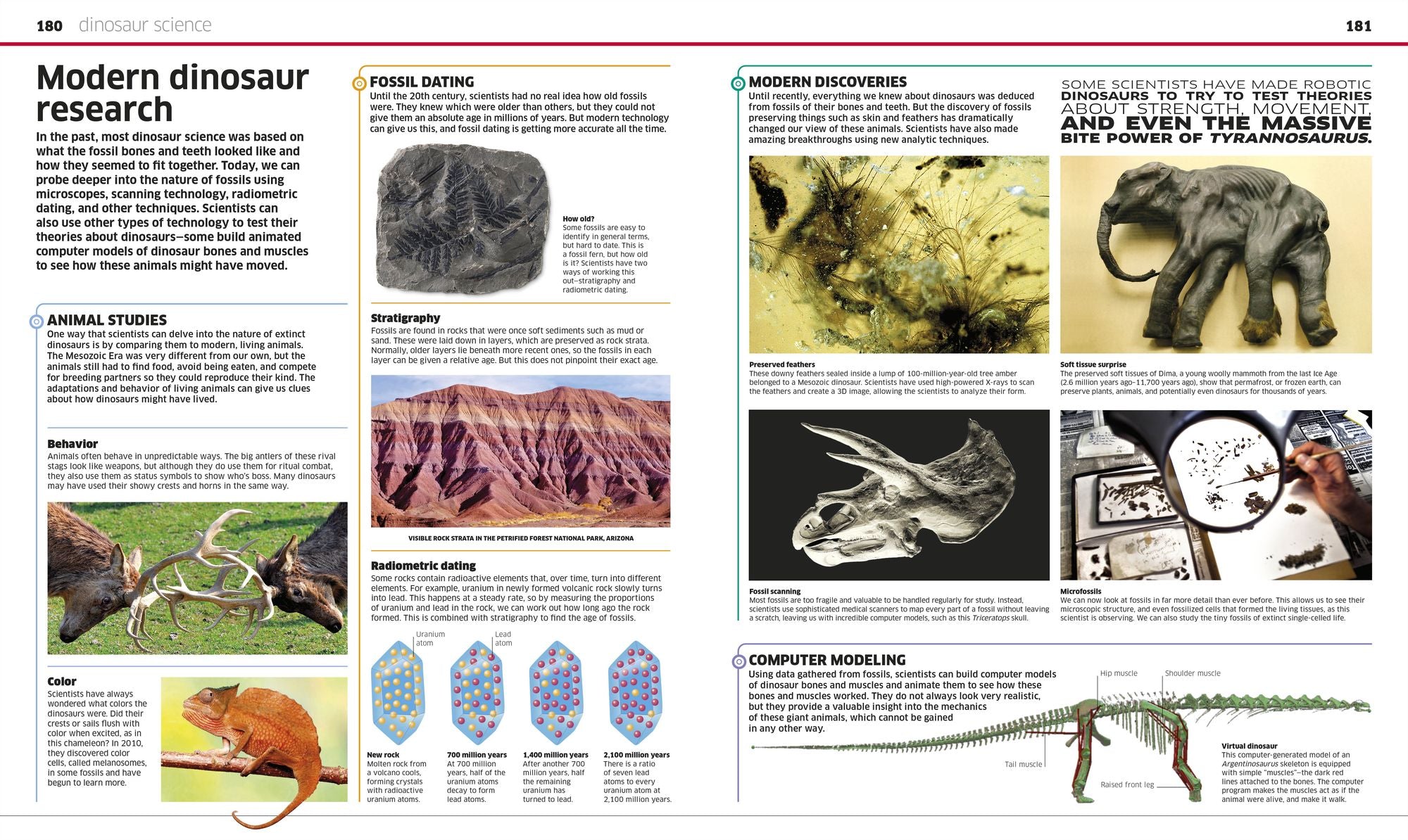 Knowledge Encyclopedia Dinosaur!