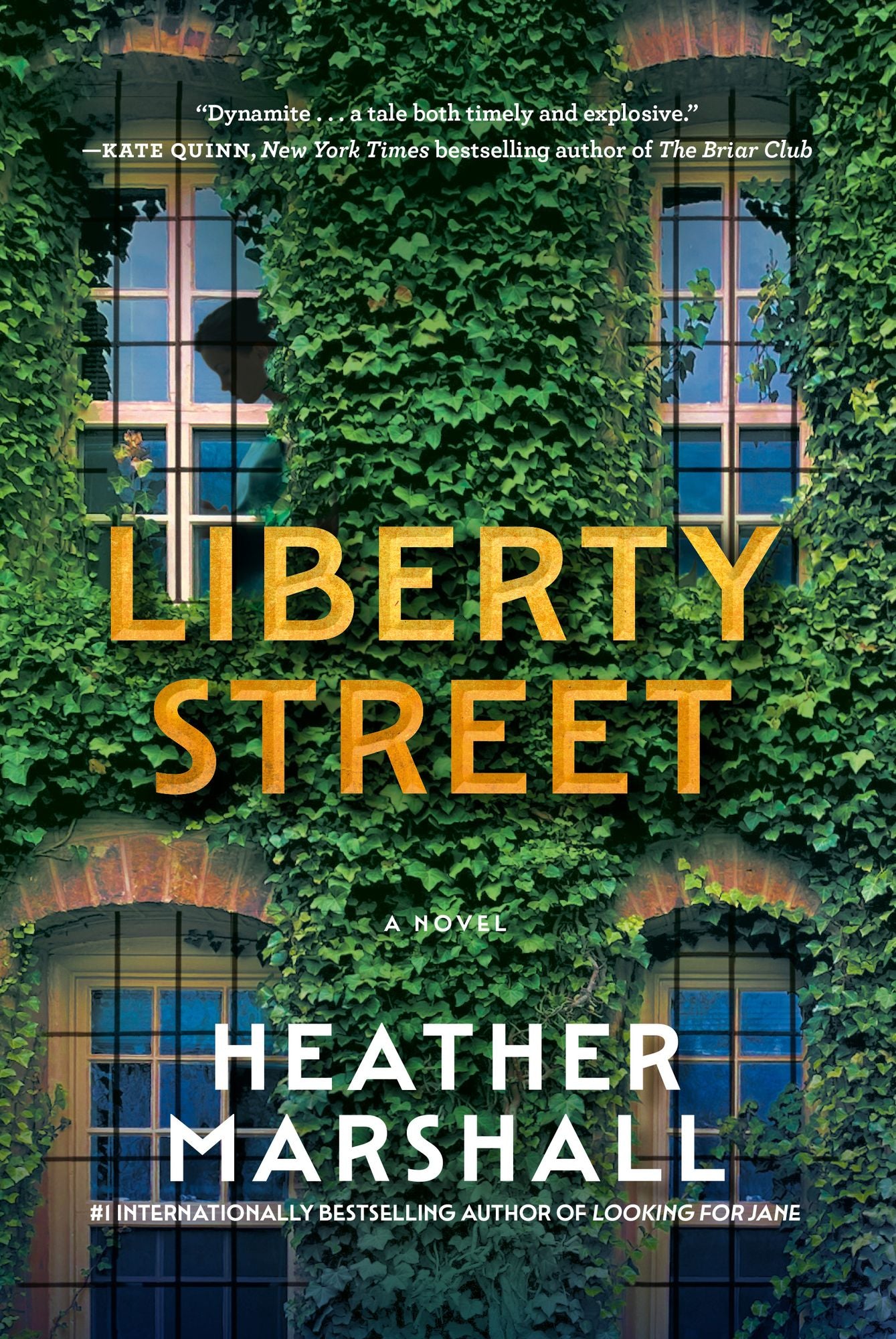 Liberty Street: A Novel