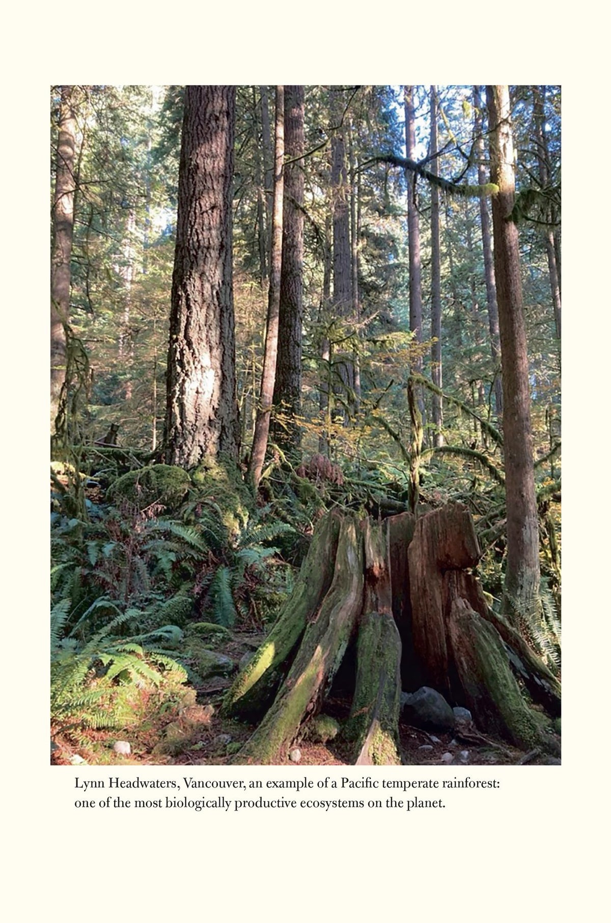 The World Beneath Our Feet: The Hidden Life of Soil and Why It Matters to Us All