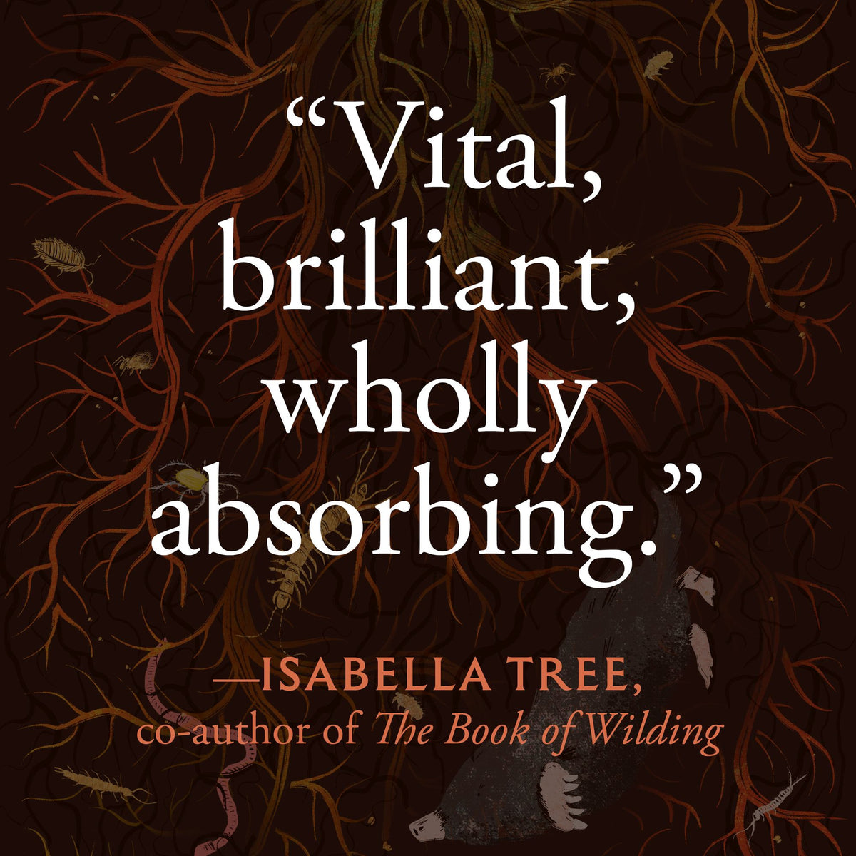 The World Beneath Our Feet: The Hidden Life of Soil and Why It Matters to Us All
