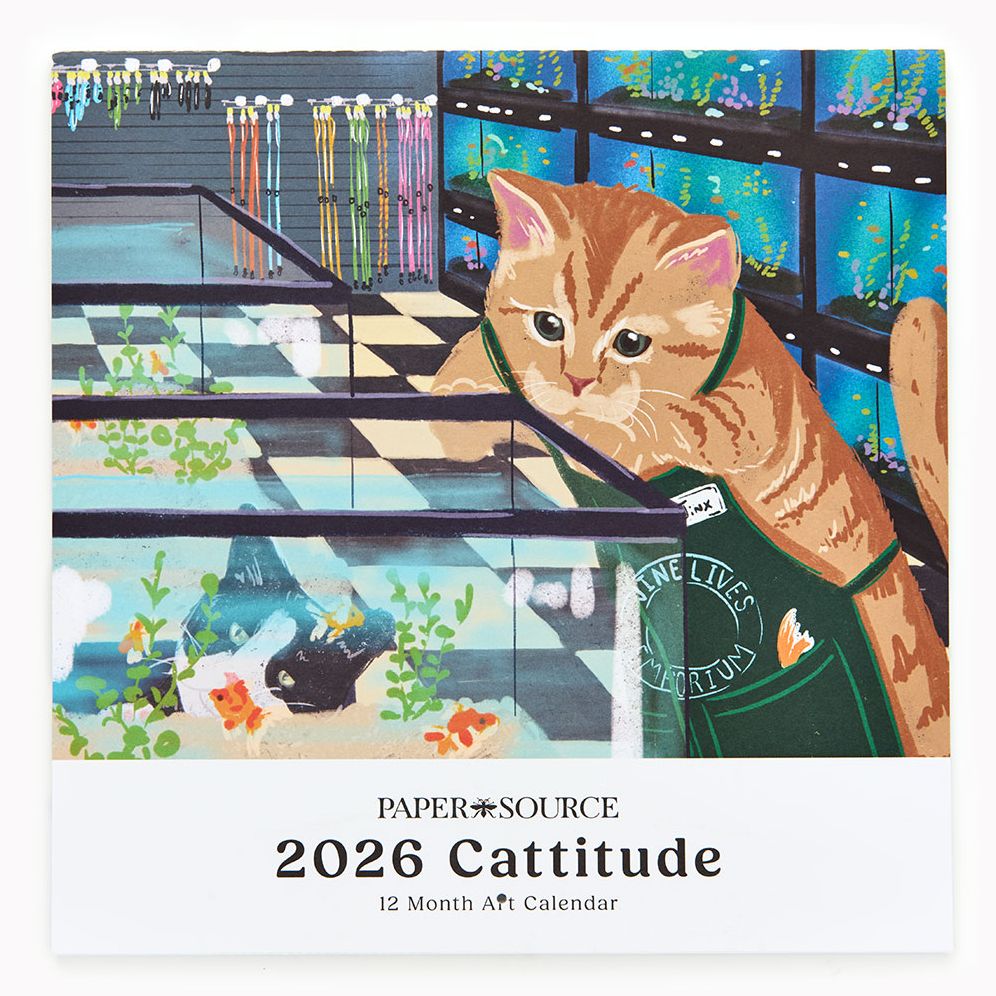 2026 Paper Source Cattitude