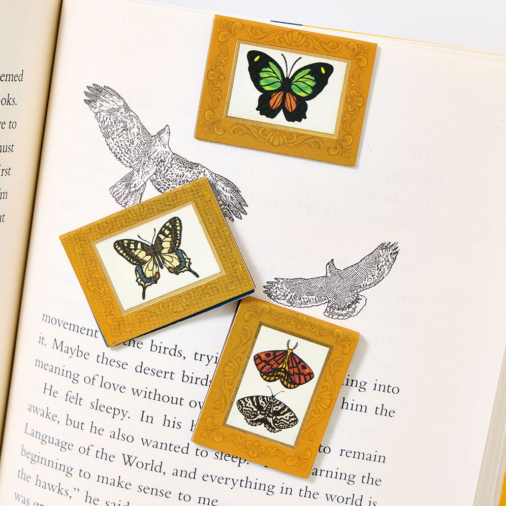 Magnetic Framed Butterfly Page Markers S/3