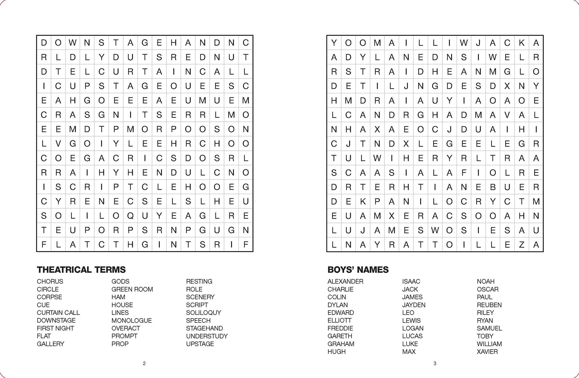 Large Print Puzzle Books-Word Search