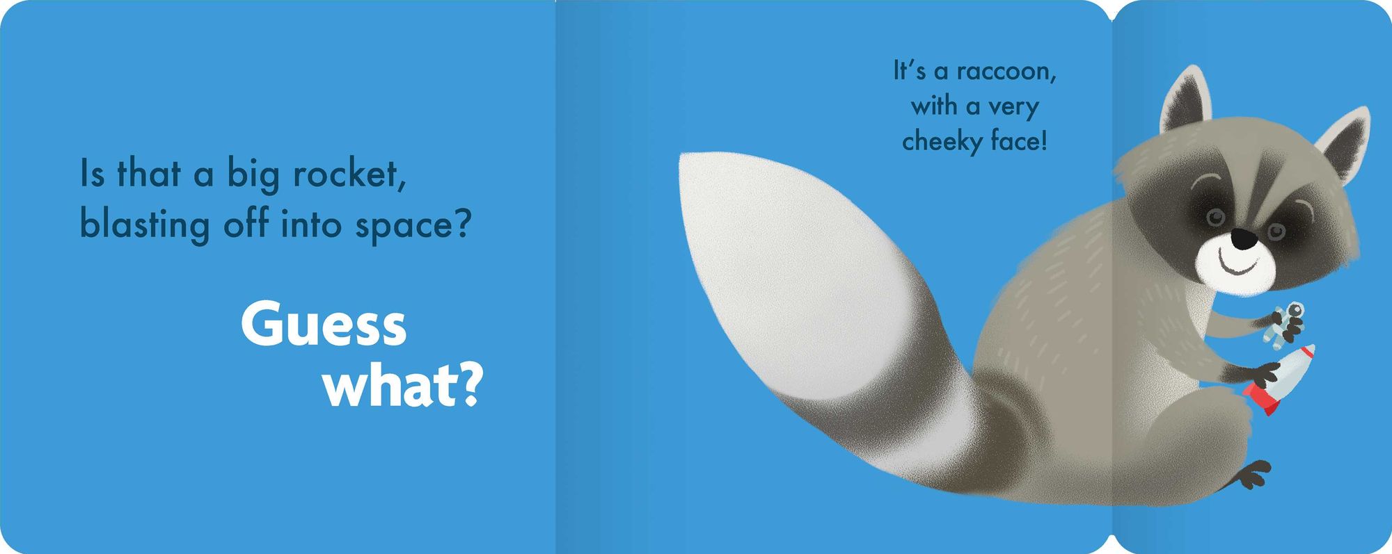 Guess What?: Lift-the-Flap Board Book