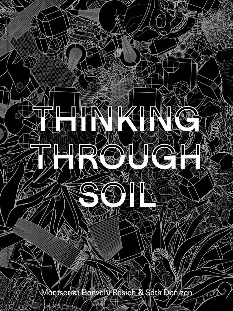 Thinking Through Soil: Wastewater Agriculture in the Mezquital Valley