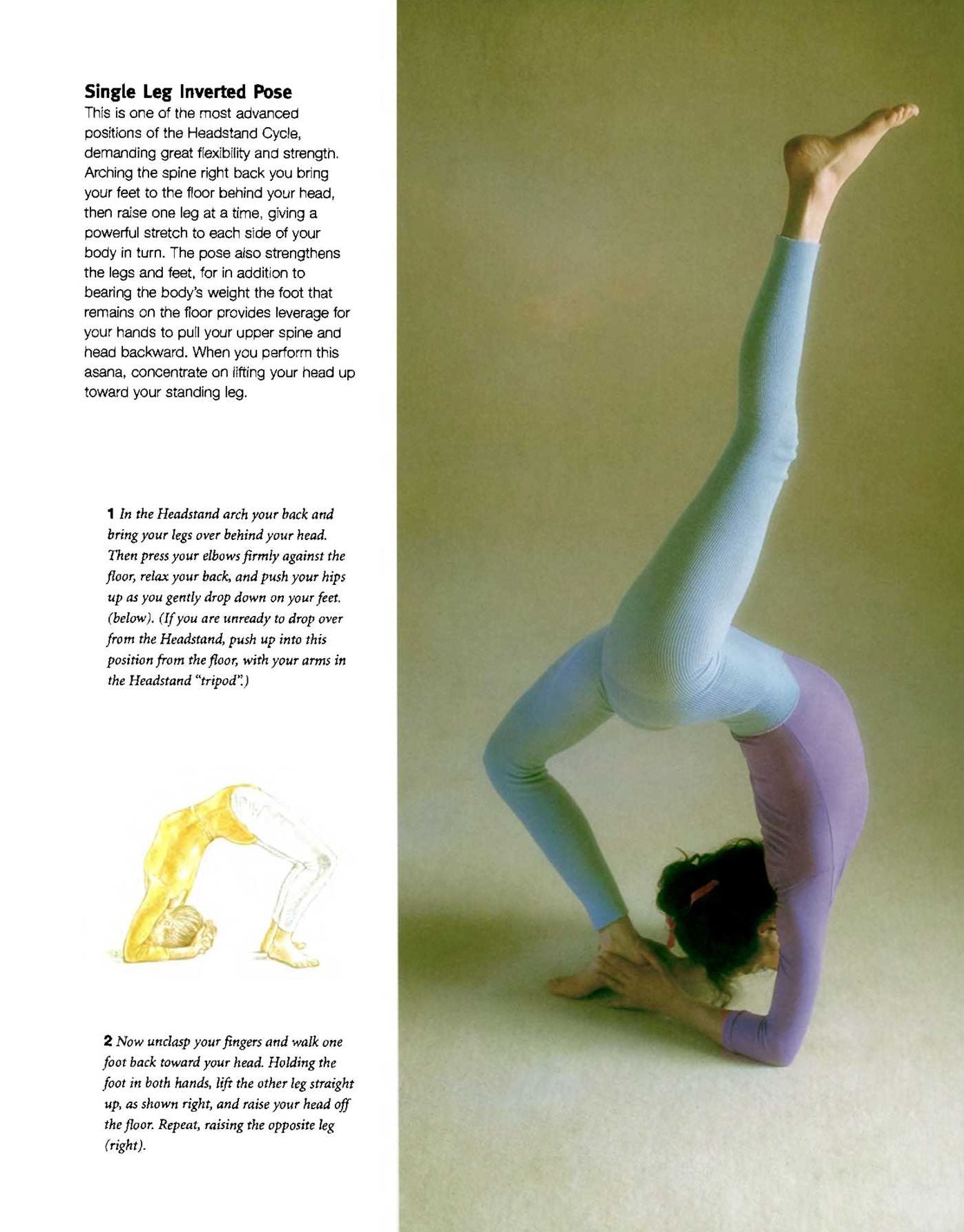 Sivananda Companion to Yoga: Sivananda Companion to Yoga
