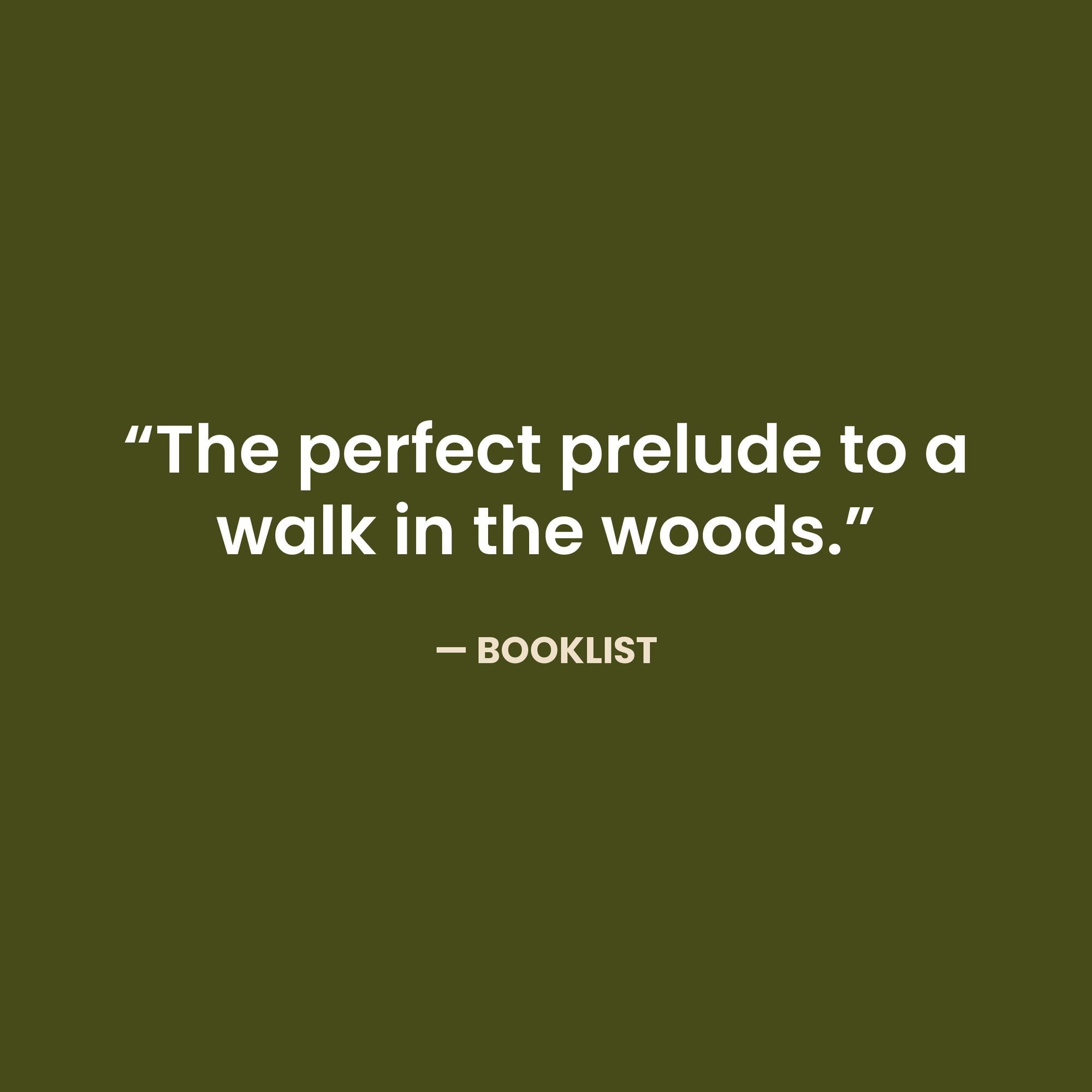 In the Woods: Who's Been Here?