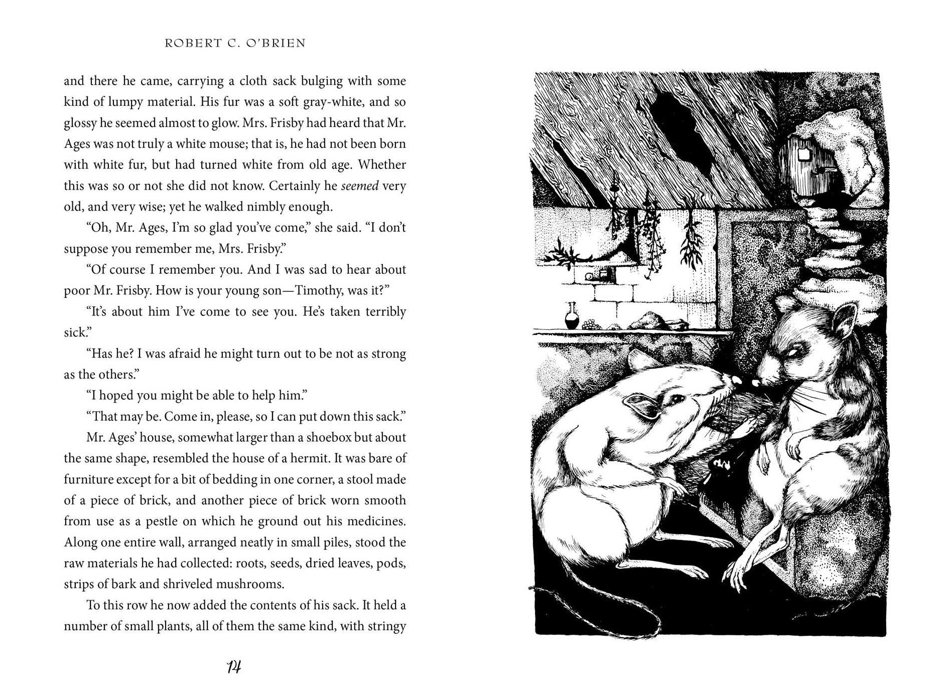 Mrs. Frisby and the Rats of Nimh (Newbery Medal Winner)