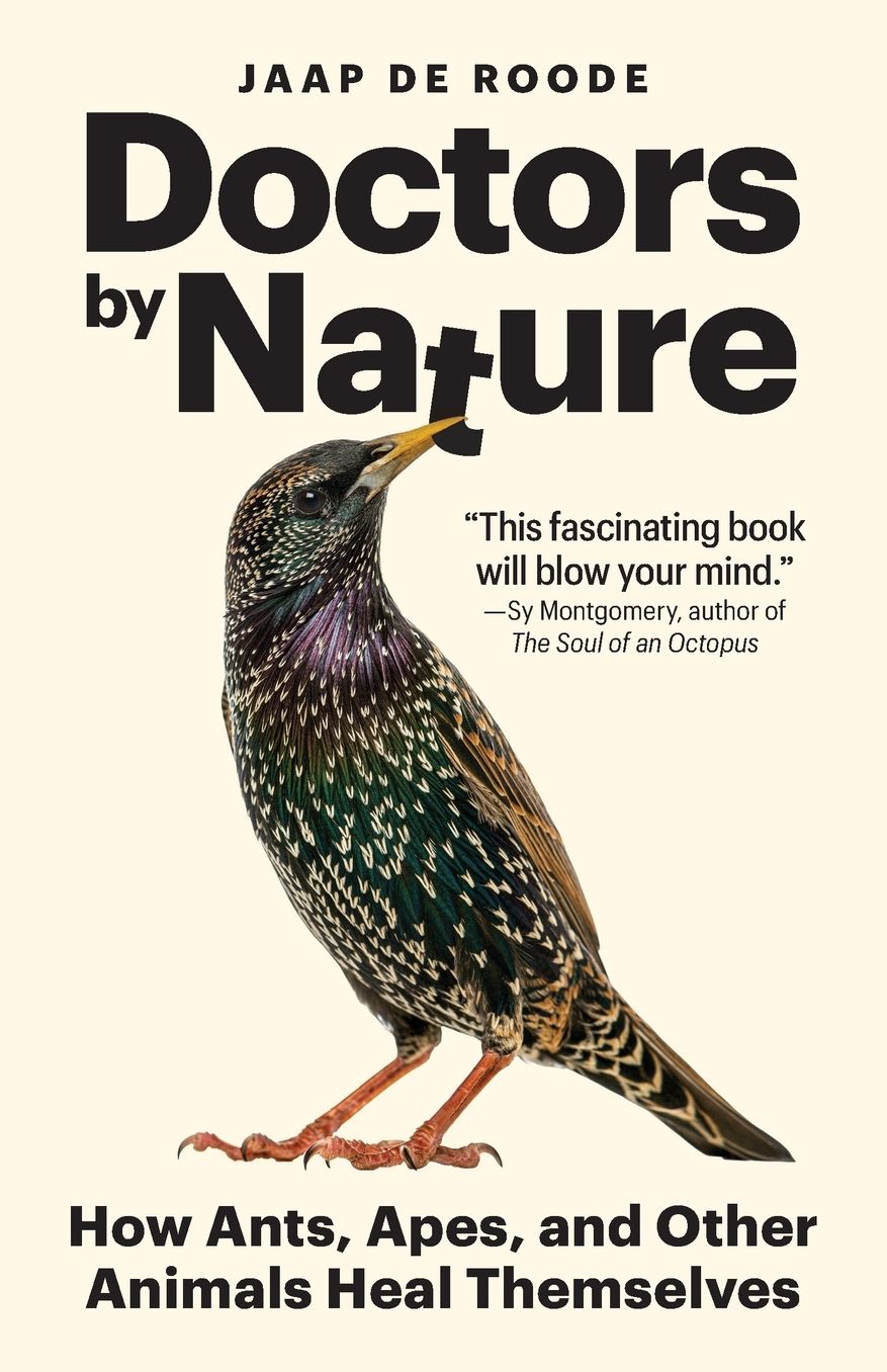 Doctors by Nature: How Ants, Apes, and Other Animals Heal Themselves
