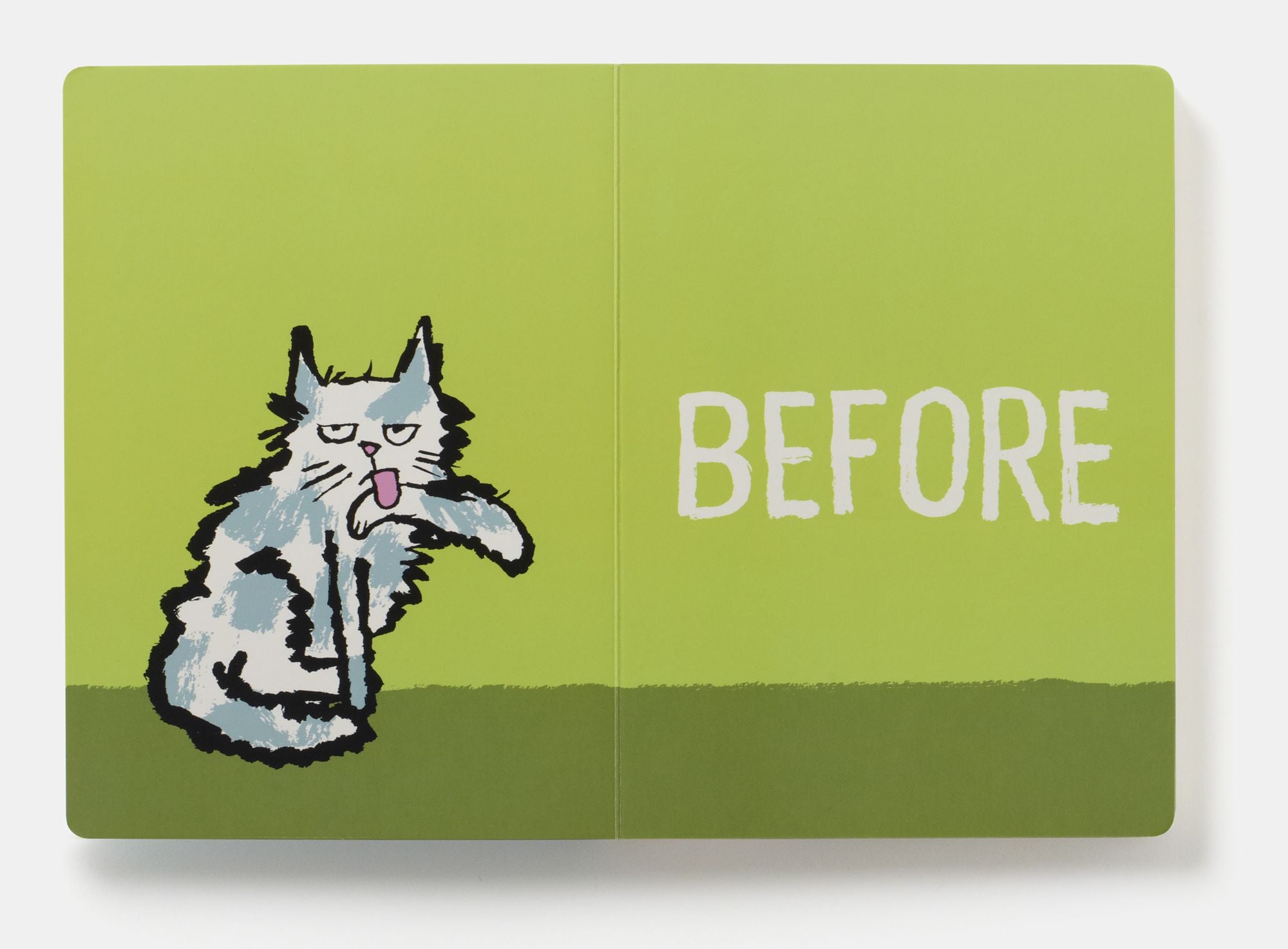 Before & After