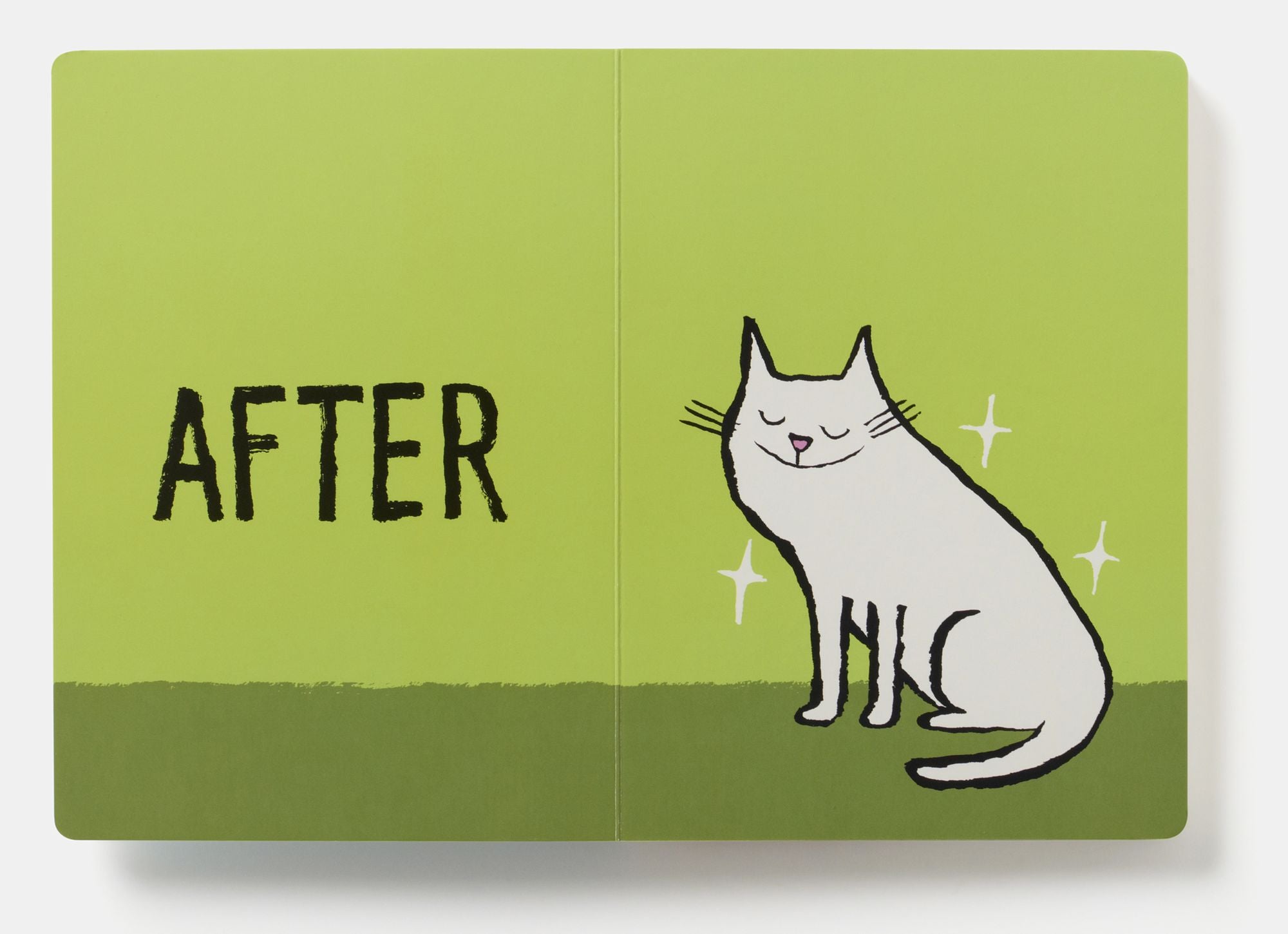 Before & After