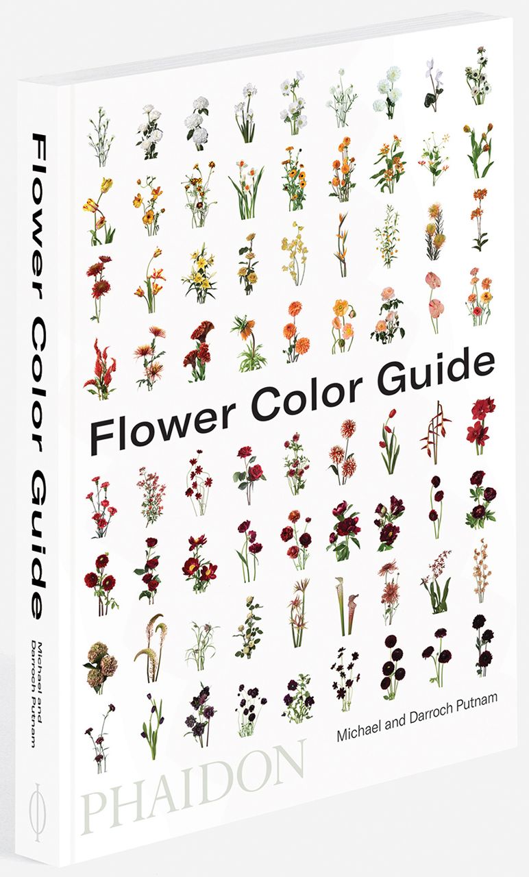 Flower Color Guide