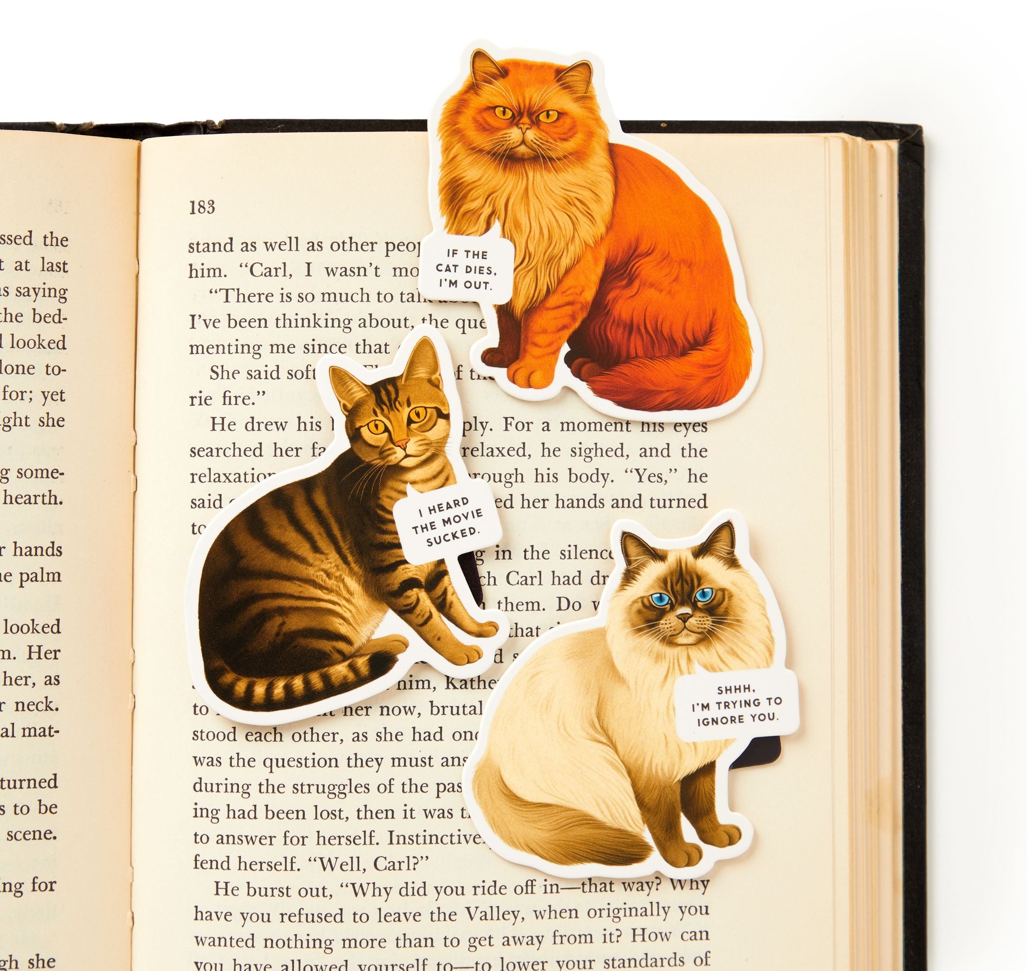 Moody Cats Magnetic Bookmark Set