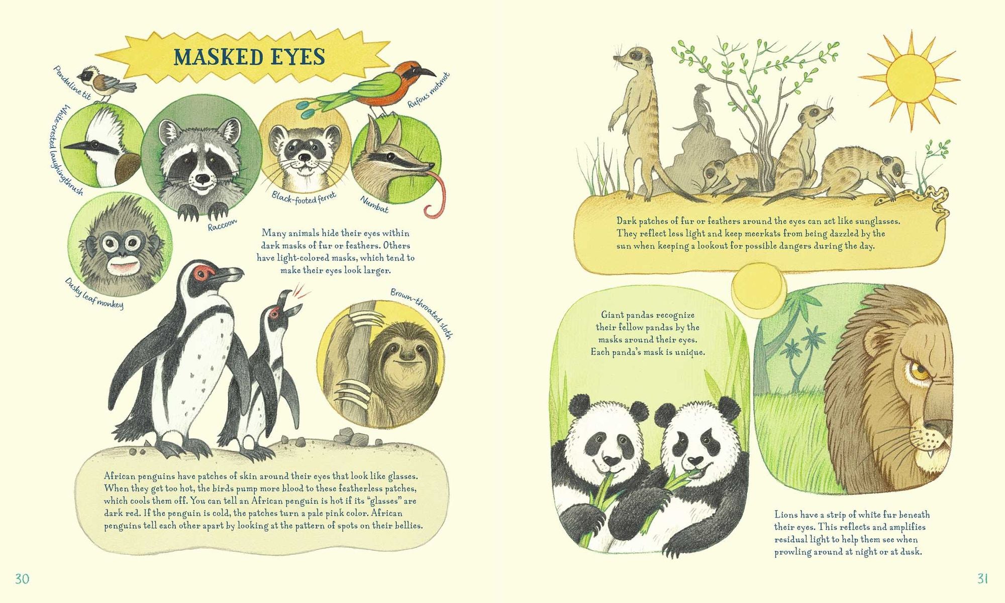 Genius Eyes: A Curious Animal Compendium