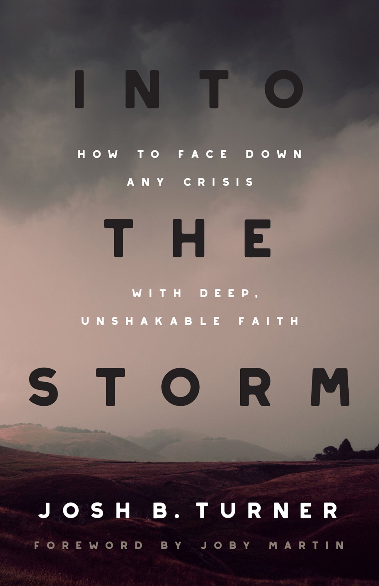 Into the Storm: How to Face Down Any Crisis with Deep, Unshakable Faith