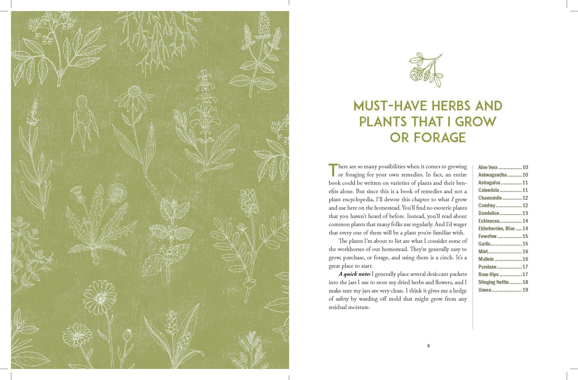 The Homestead Herbal Remedies Guide: Nurture Wellness with Safe and Natural Solutions