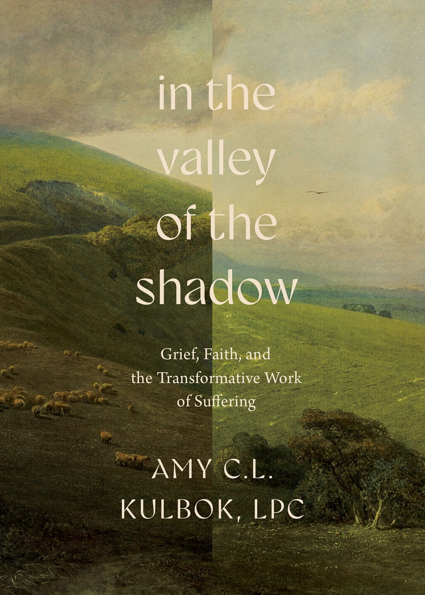 In the Valley of the Shadow: Grief, Faith, and the Transformative Work of Suffering