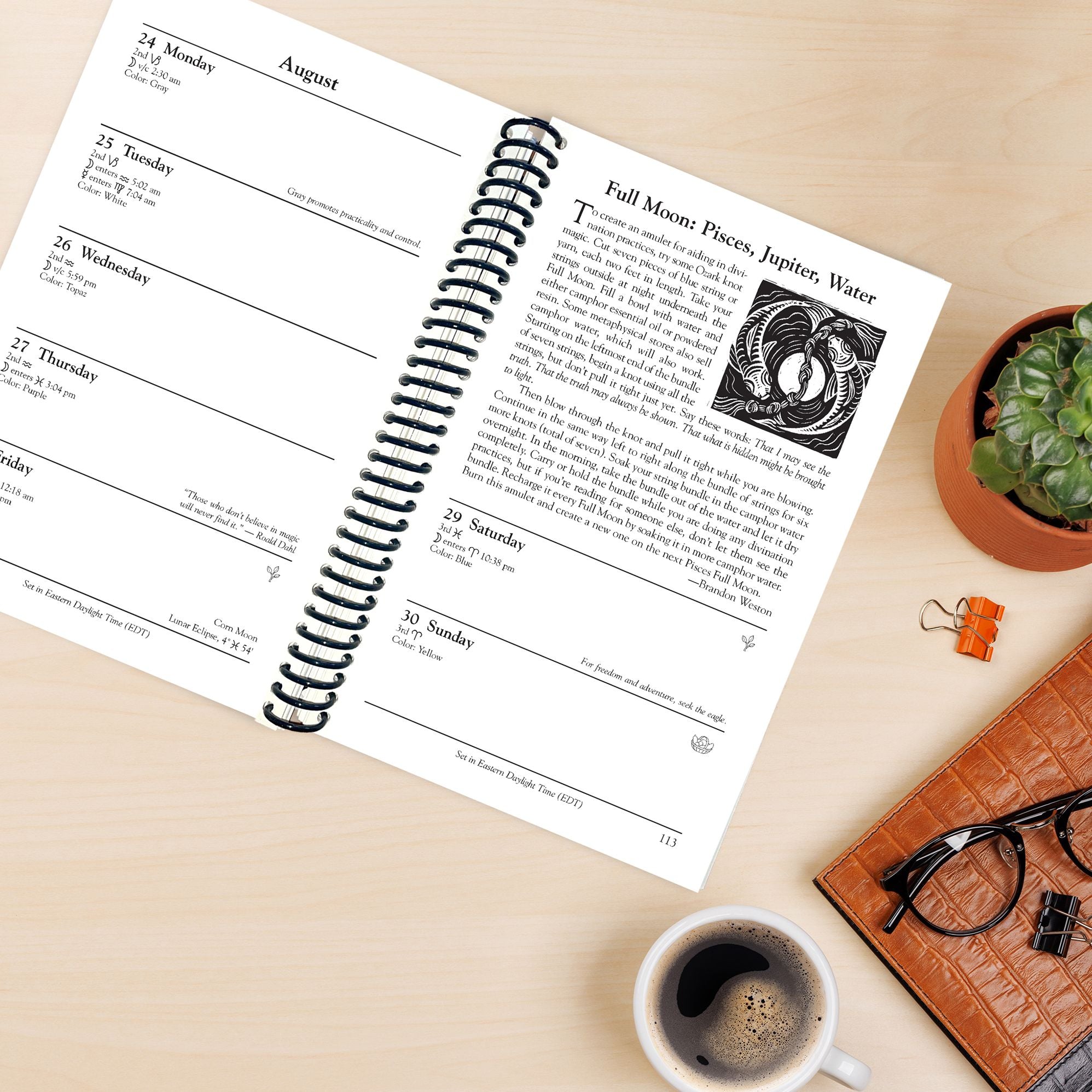 2027 Llewellyn's Witches' Datebook