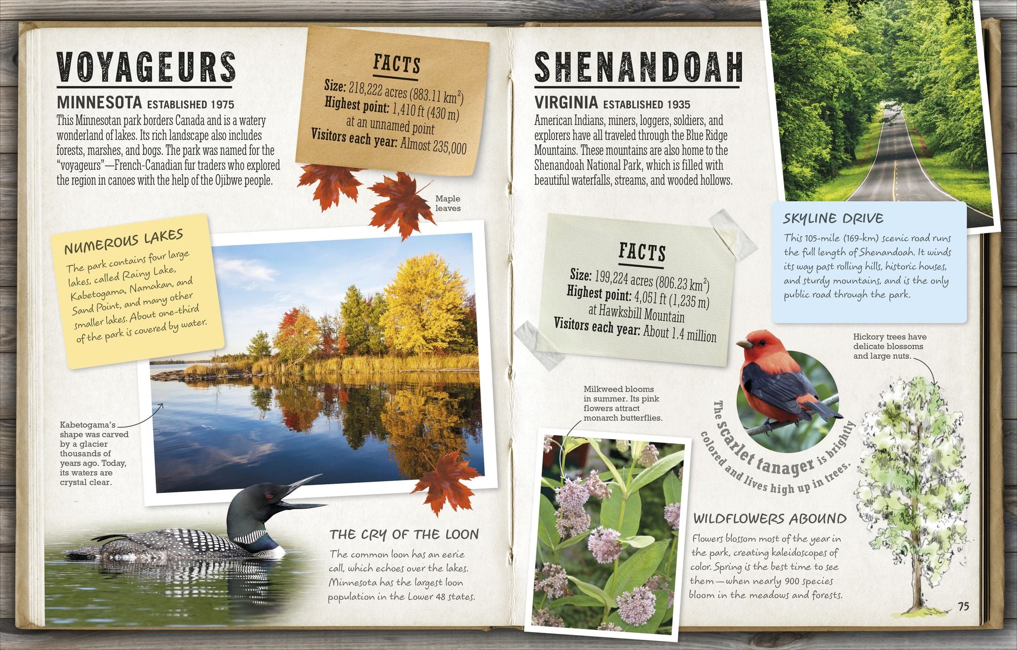The National Parks: Discover all 62 National Parks of the United States!