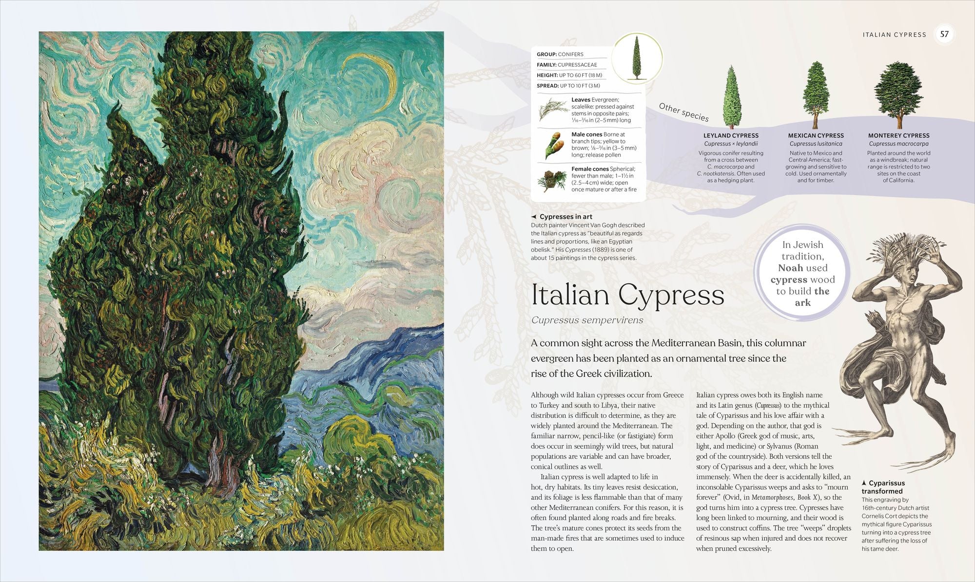 The Tree Book: The Stories, Science, and History of Trees