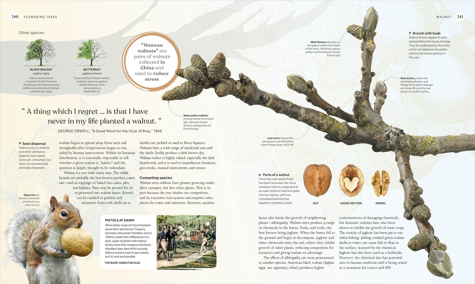 The Tree Book: The Stories, Science, and History of Trees