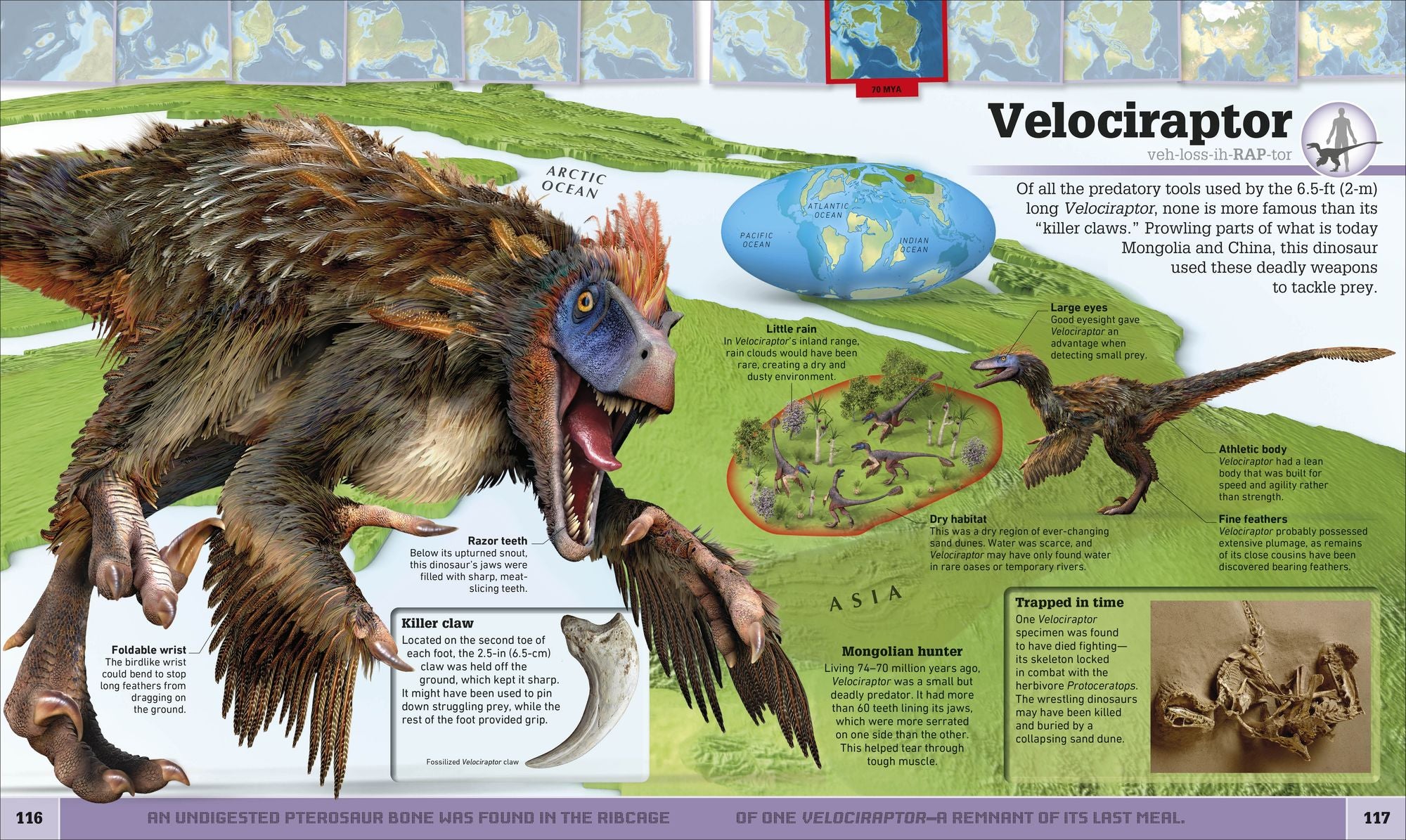 Dinosaur and Other Prehistoric Creatures Atlas: The Prehistoric World as You've Never Seen It Before