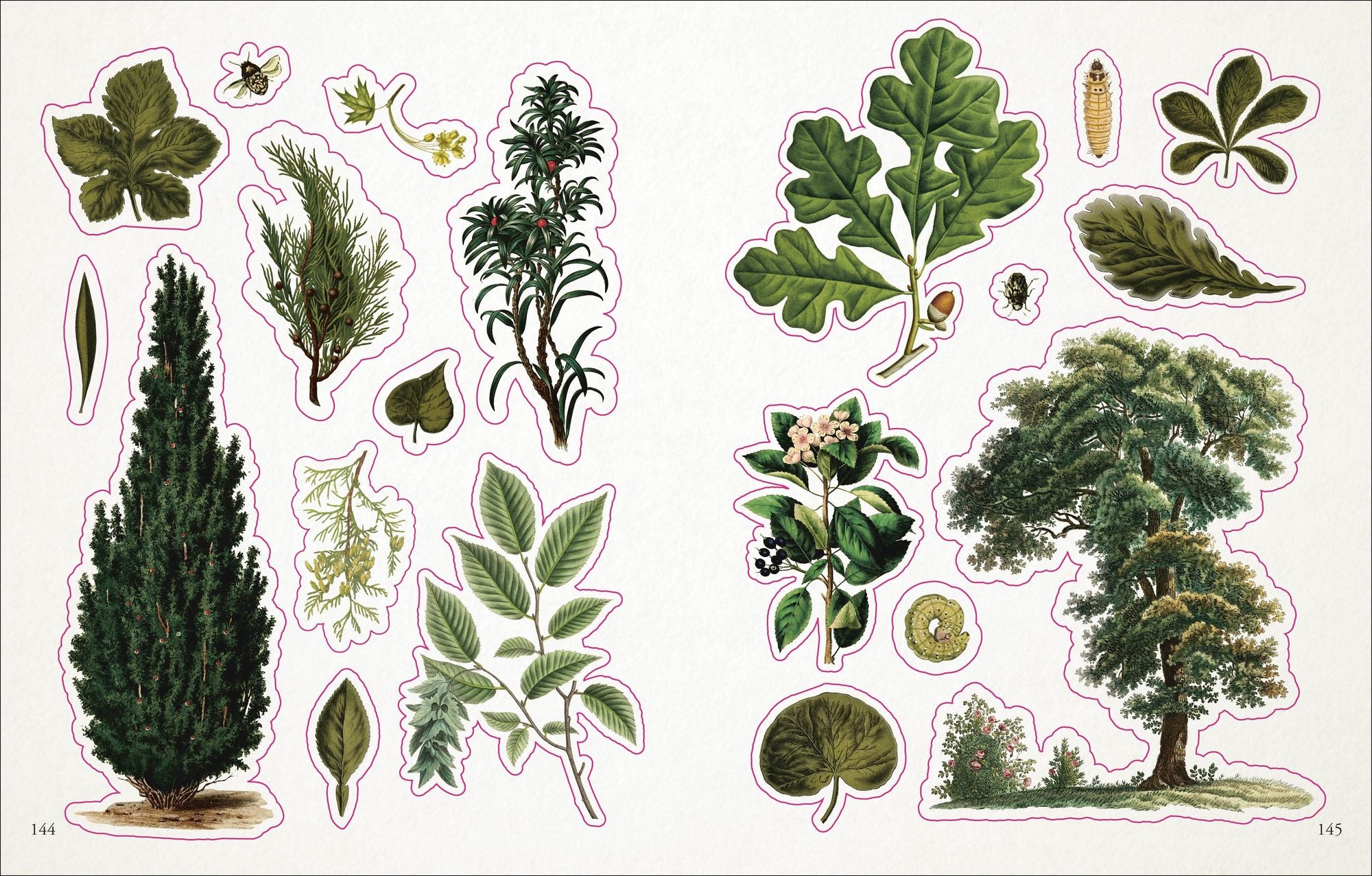 The Botanist's Sticker Anthology: With More Than 1,000 Vintage Stickers