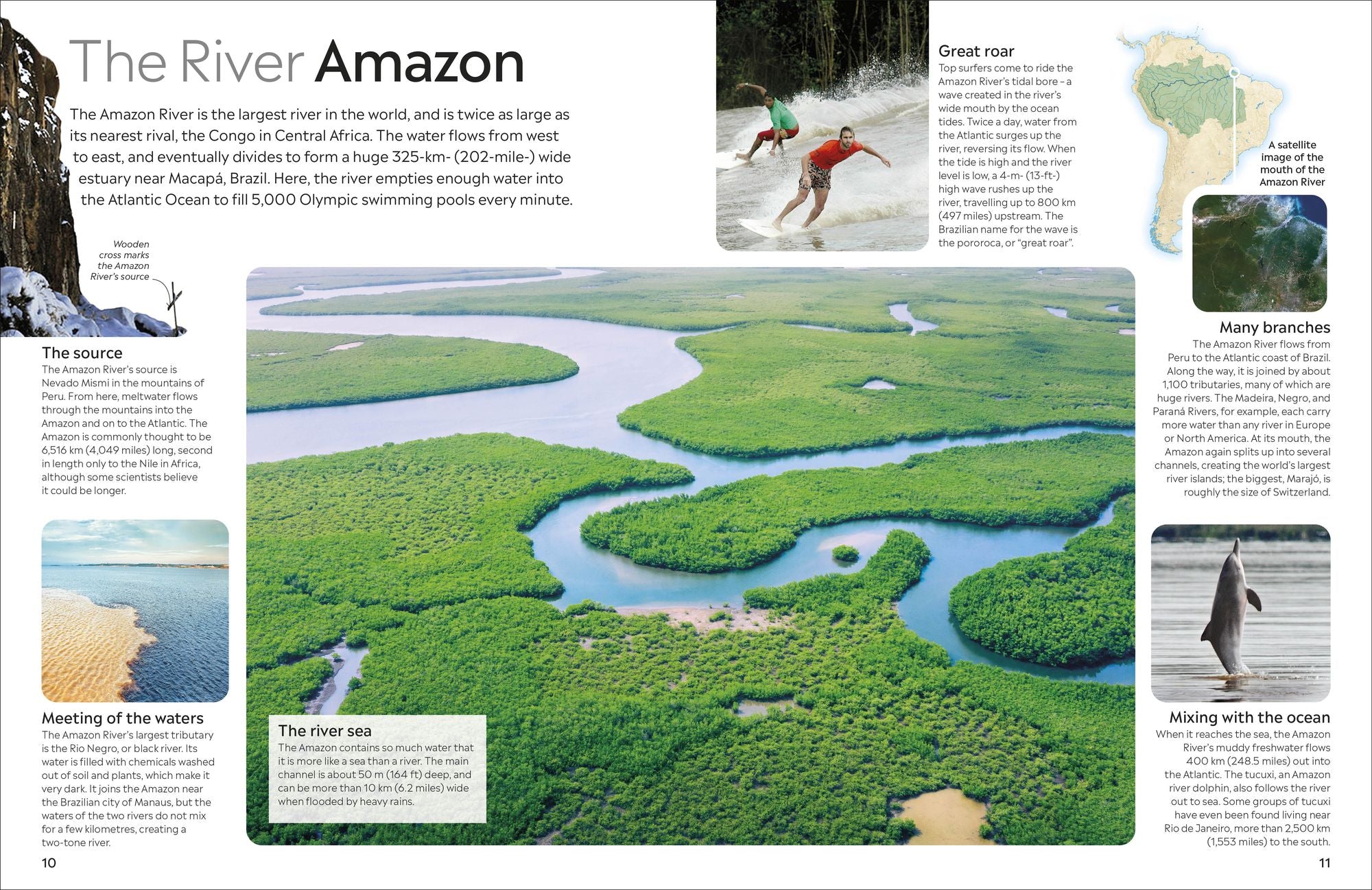Eyewitness The Amazon