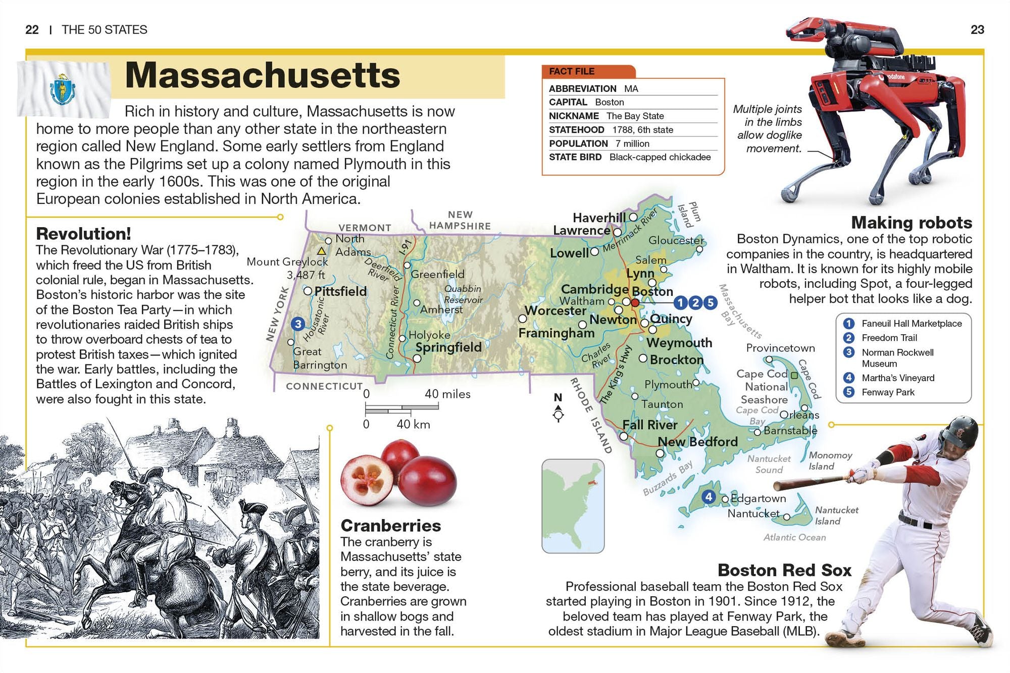 Pocket Genius The 50 States: Facts at Your Fingertips