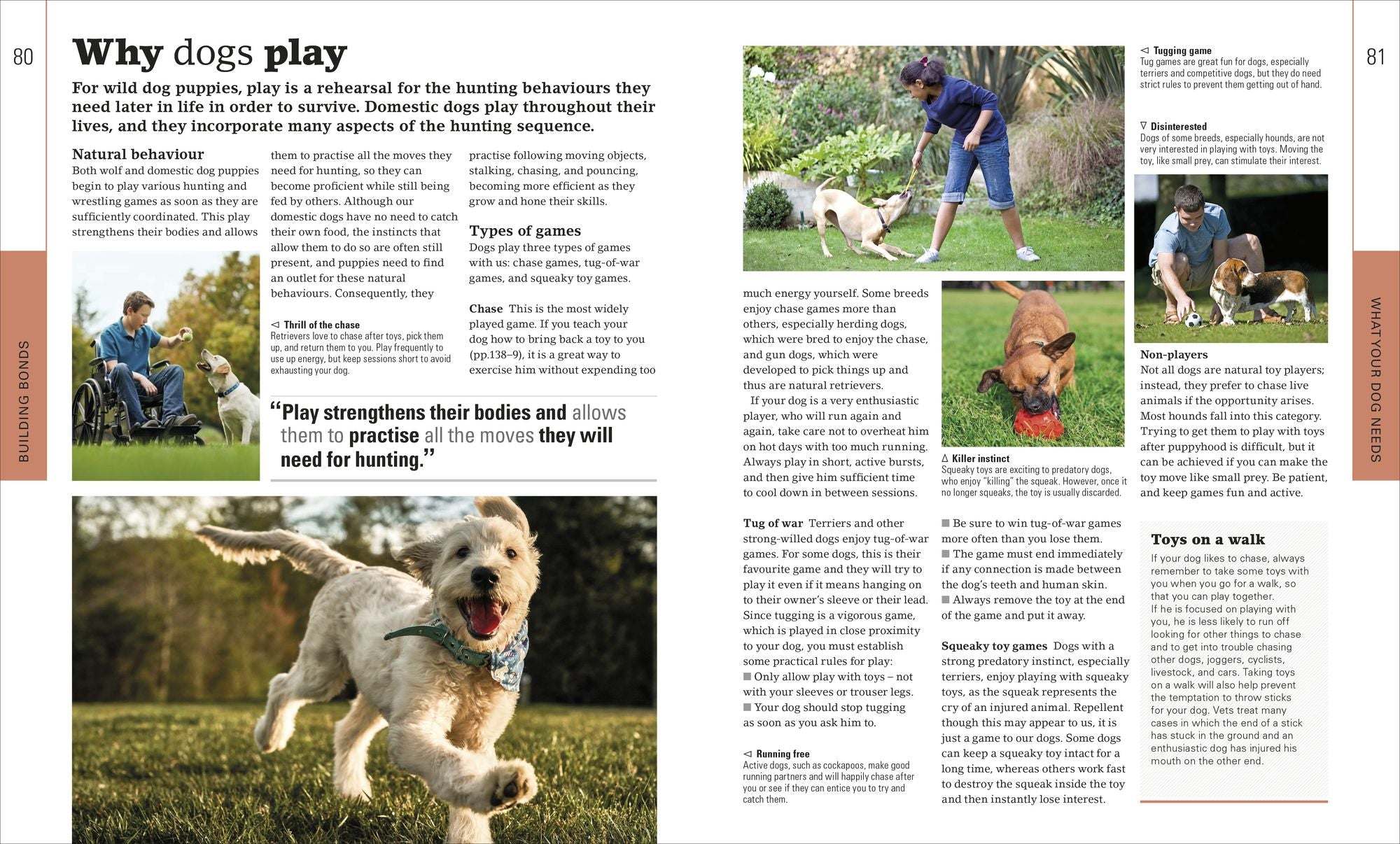 The Beginner's Dog Training Guide: How to Train a Superdog, Step by Step