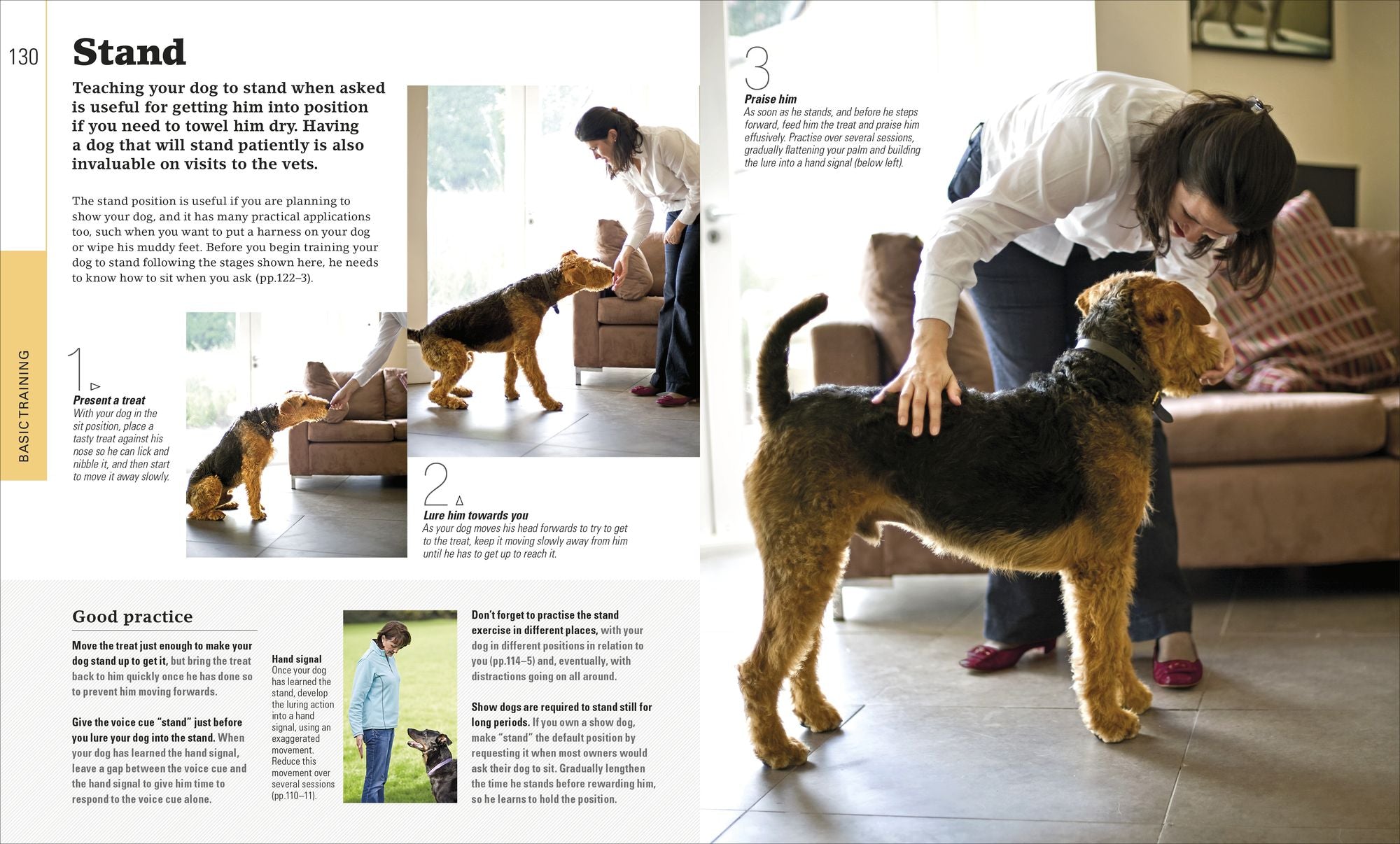 The Beginner's Dog Training Guide: How to Train a Superdog, Step by Step