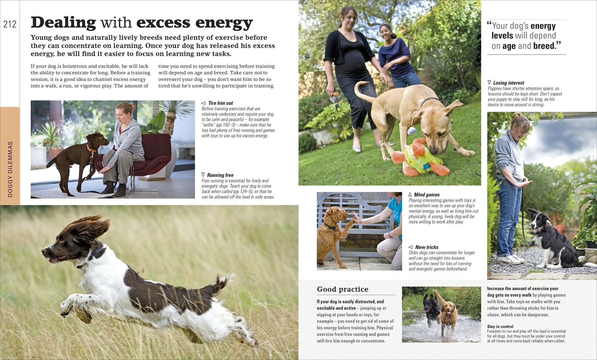 The Beginner's Dog Training Guide: How to Train a Superdog, Step by Step