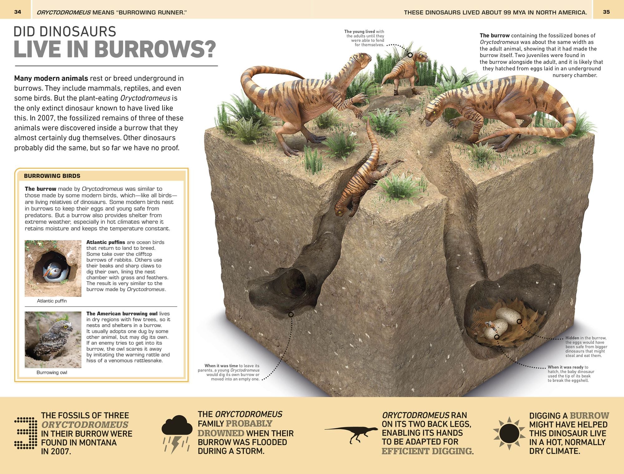 1,000 Amazing Dinosaurs Facts: Unbelievable Facts About Dinosaurs