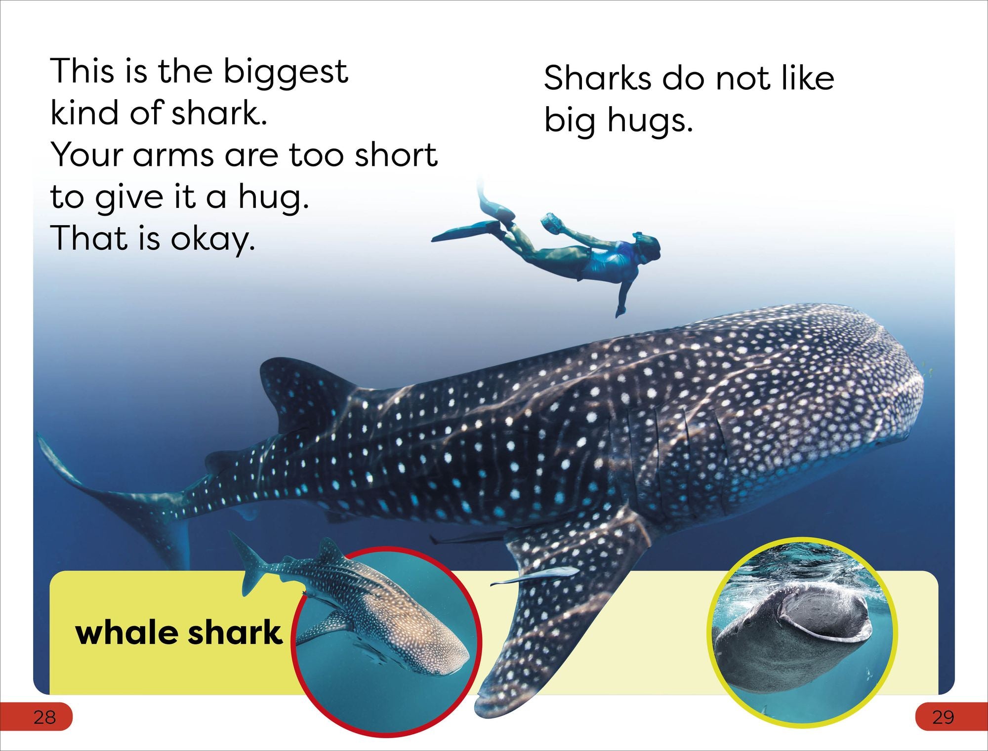 DK Super Readers Pre-Level Little Sharks Big Sharks