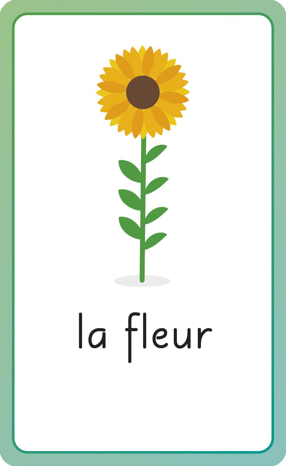 French for Everyone Junior First Words Flash Cards