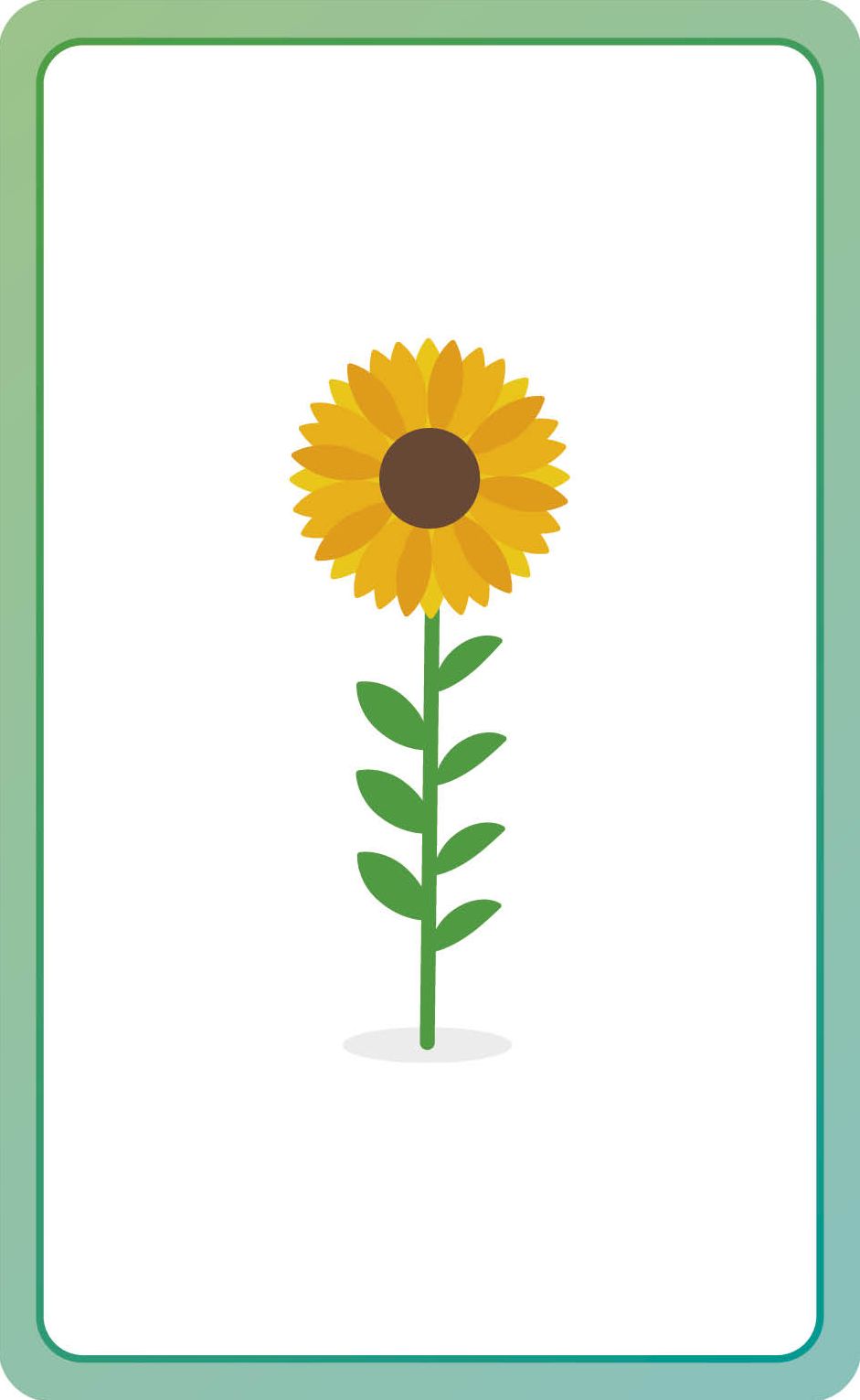 French for Everyone Junior First Words Flash Cards