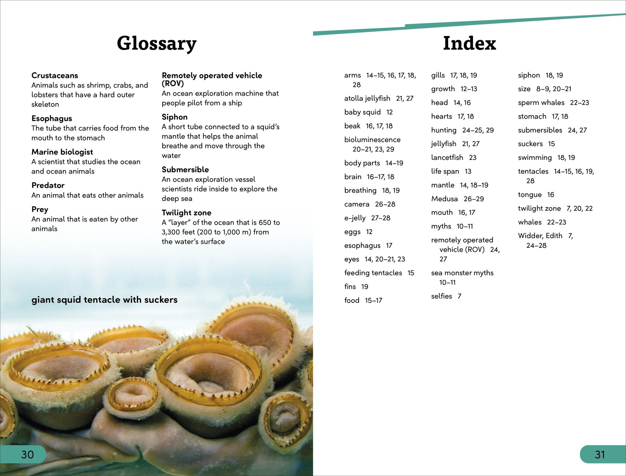 DK Super Readers Level 3 Giant Squid