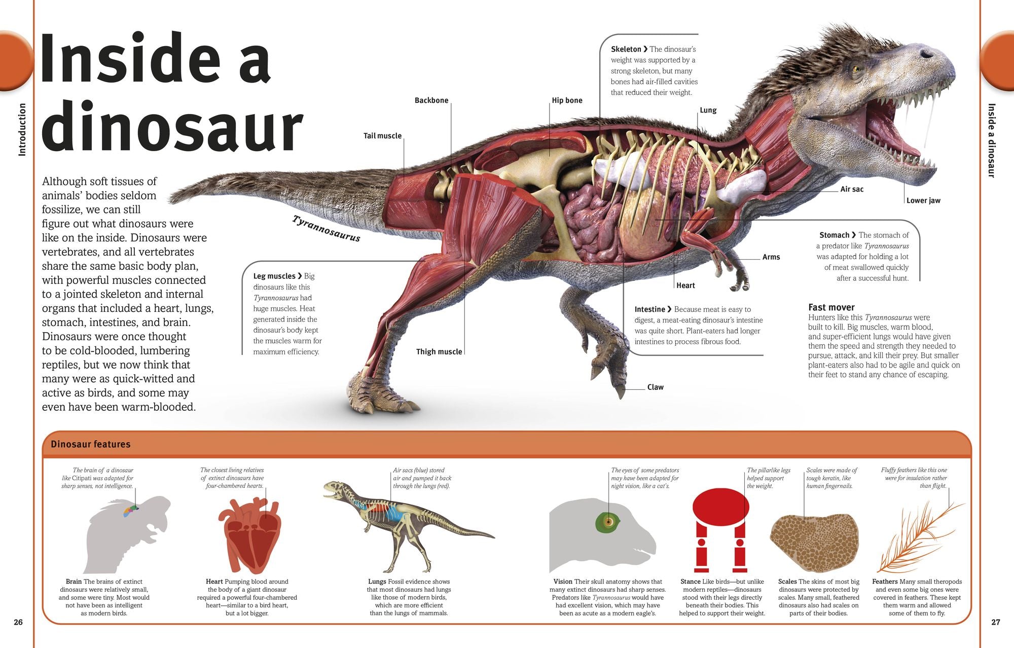 The Dinosaurs Book