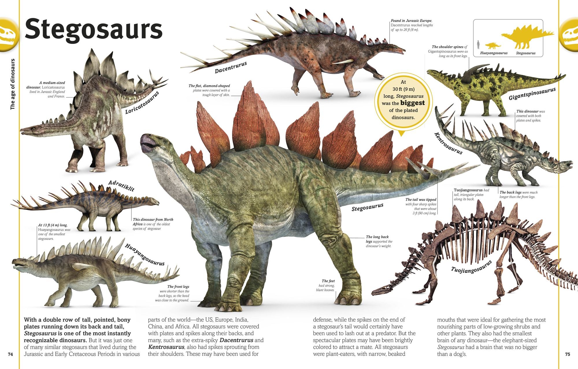 The Dinosaurs Book