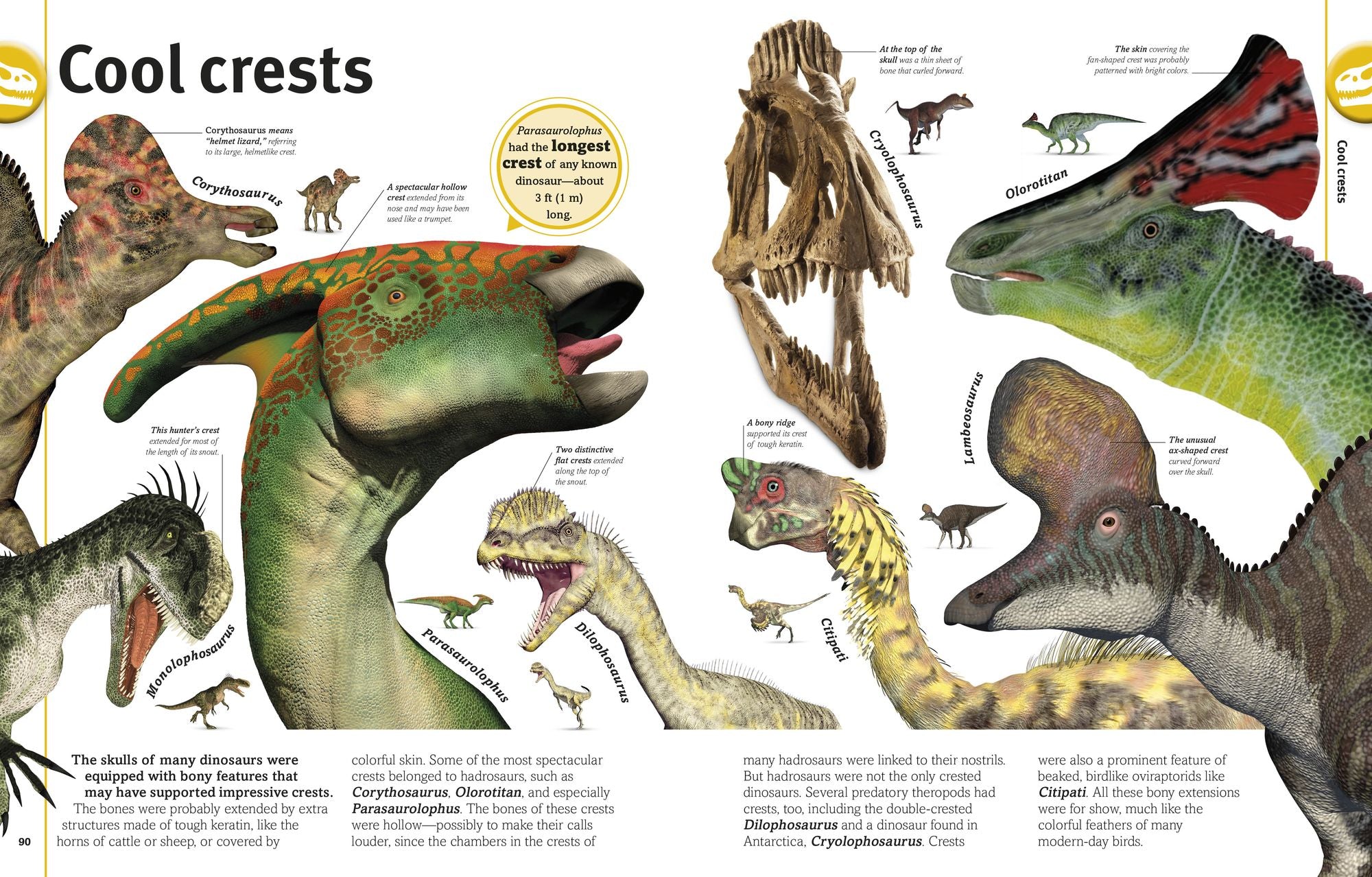 The Dinosaurs Book