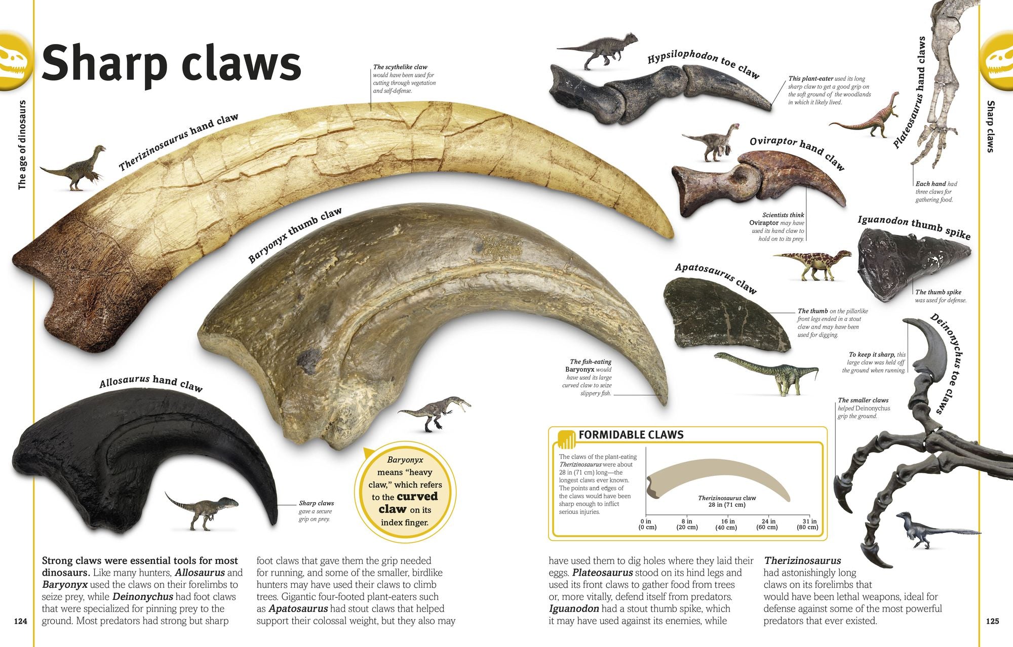 The Dinosaurs Book